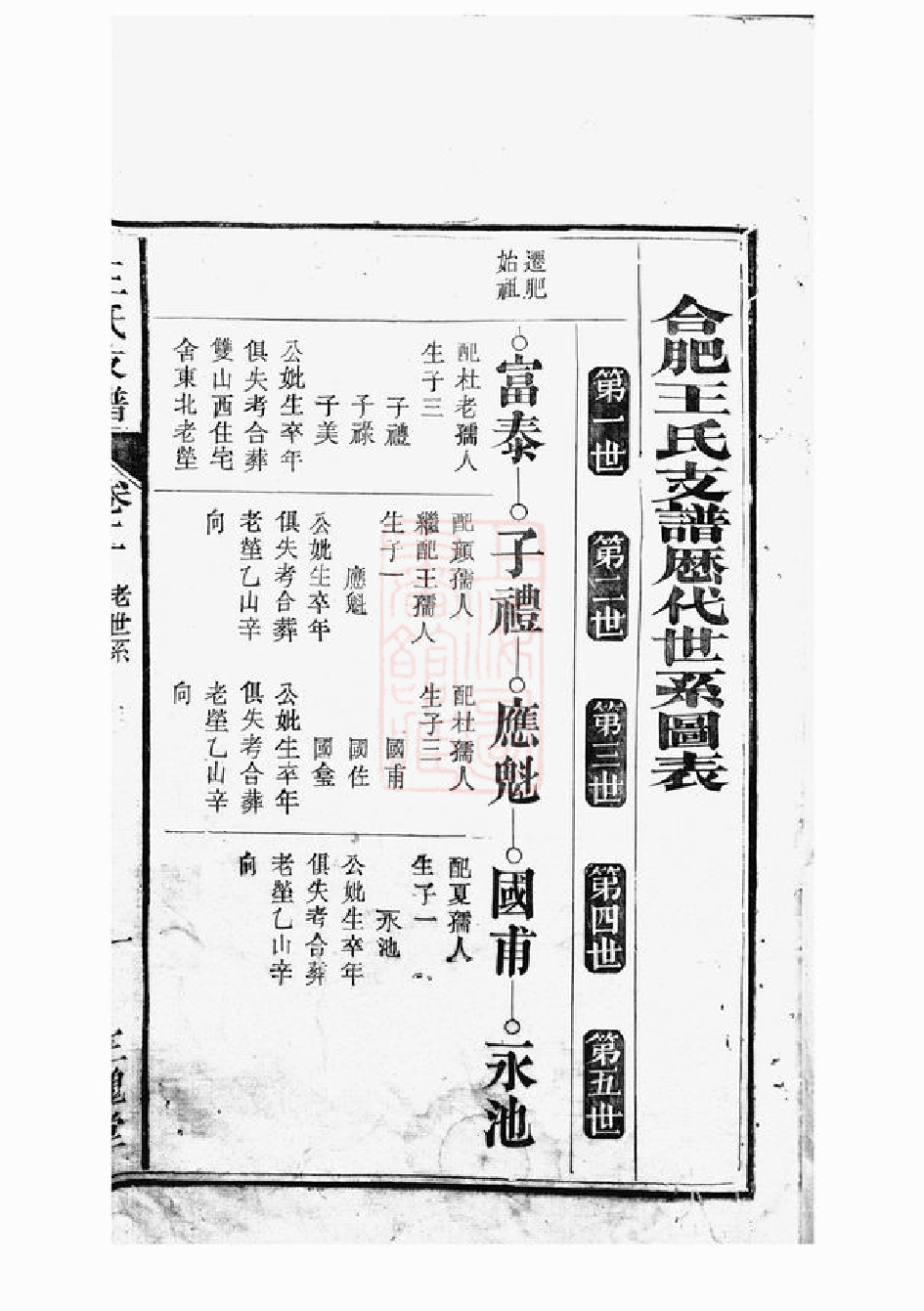 1541.合肥王氏支谱.pdf_第3页