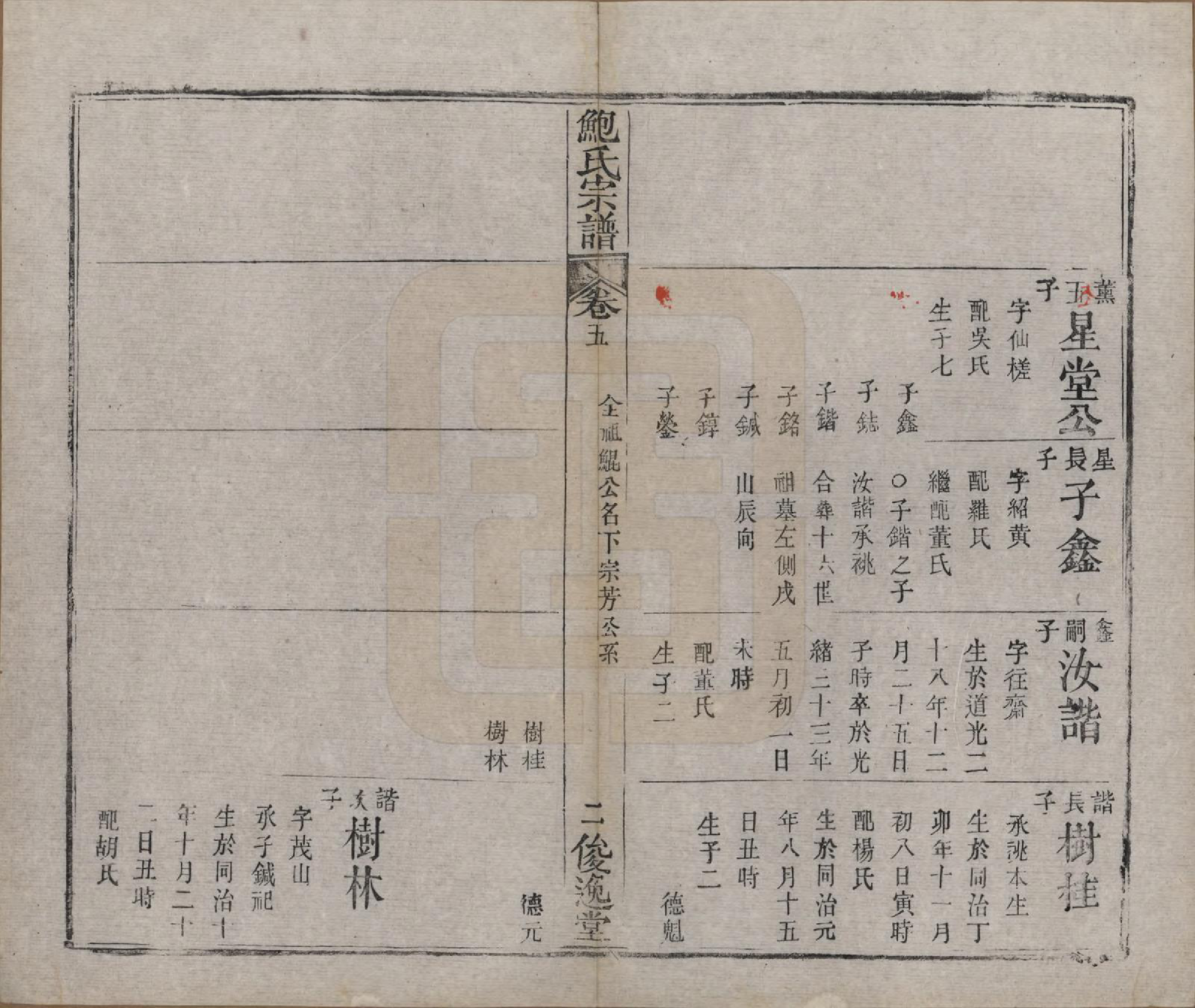 GTJP0014.鲍.湖北麻城.麻城鲍氏宗谱十四卷首一卷.清宣统三年（1911）_005.pdf_第2页