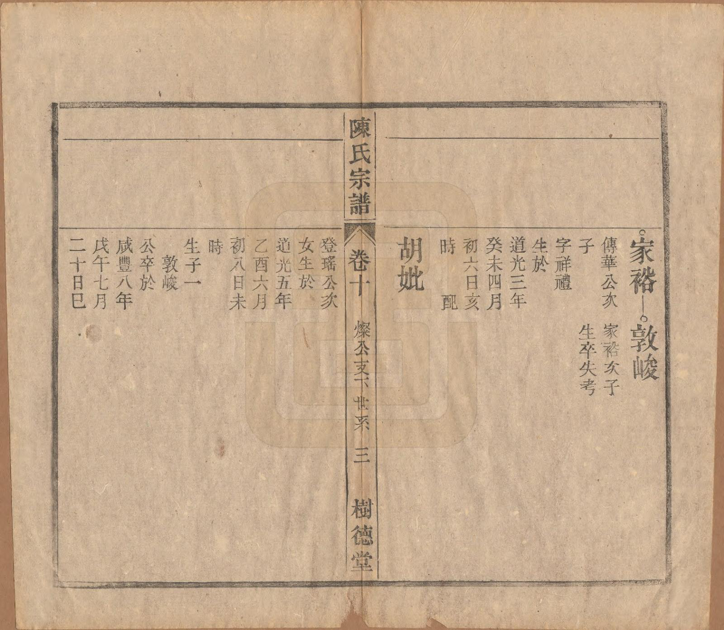 GTJP0166.陈.中国.义门陈氏宗谱十三卷首一卷末一卷.民国四年（1915）_010.pdf_第3页