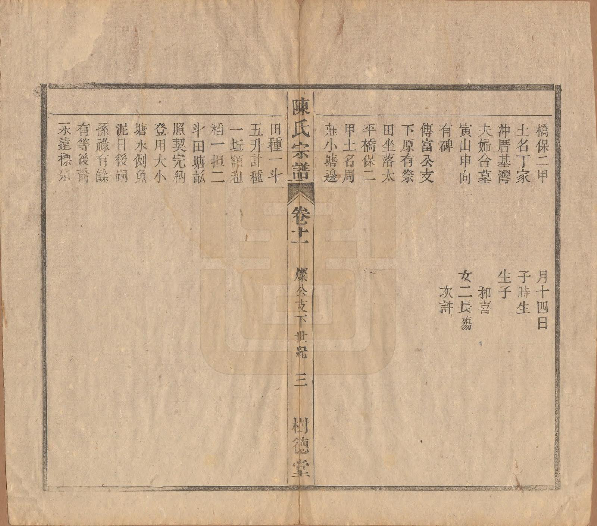 GTJP0166.陈.中国.义门陈氏宗谱十三卷首一卷末一卷.民国四年（1915）_011.pdf_第3页