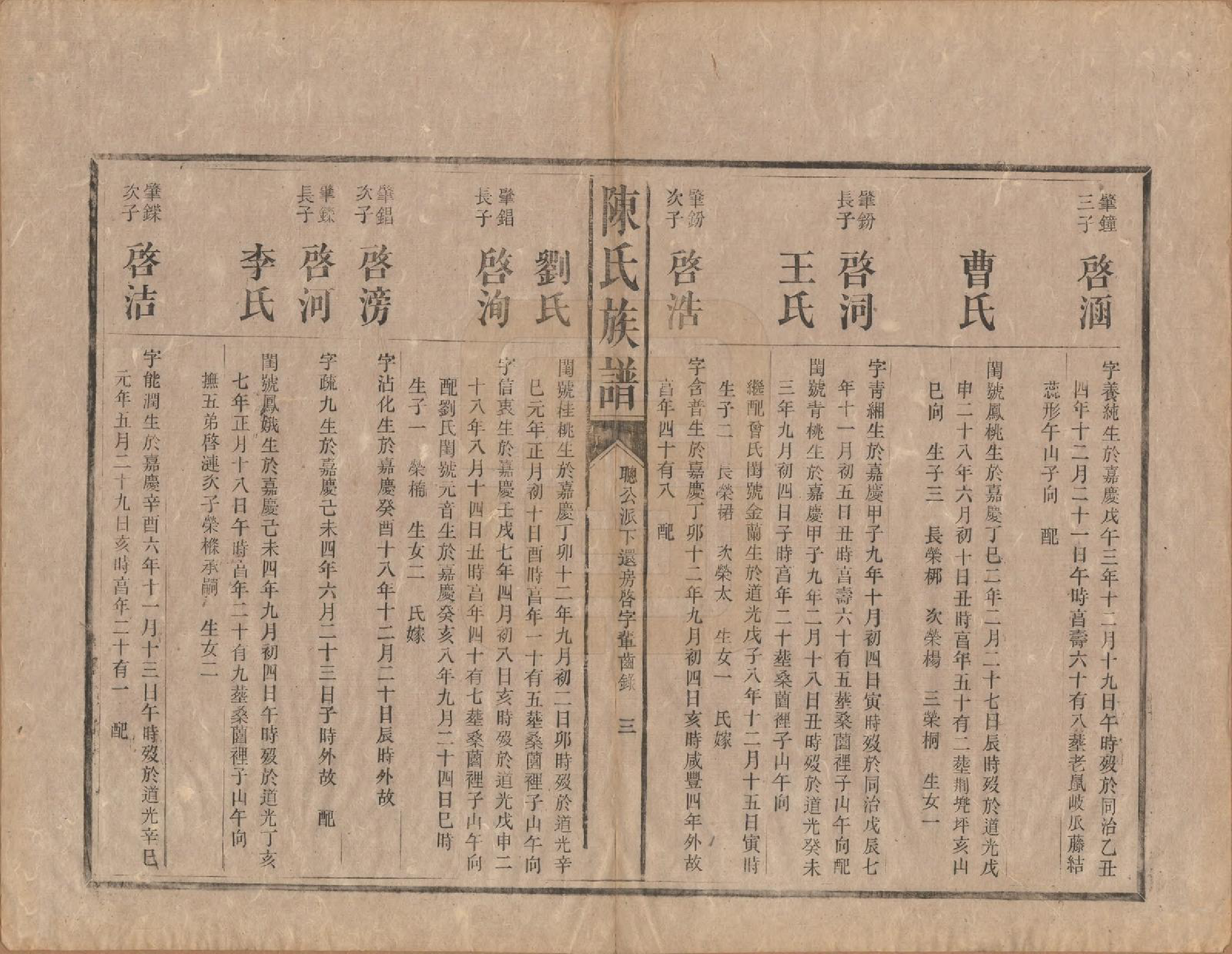 GTJP0206.陈.中国.陈氏族谱不分卷.清光绪十四年（1888）_008.pdf_第3页