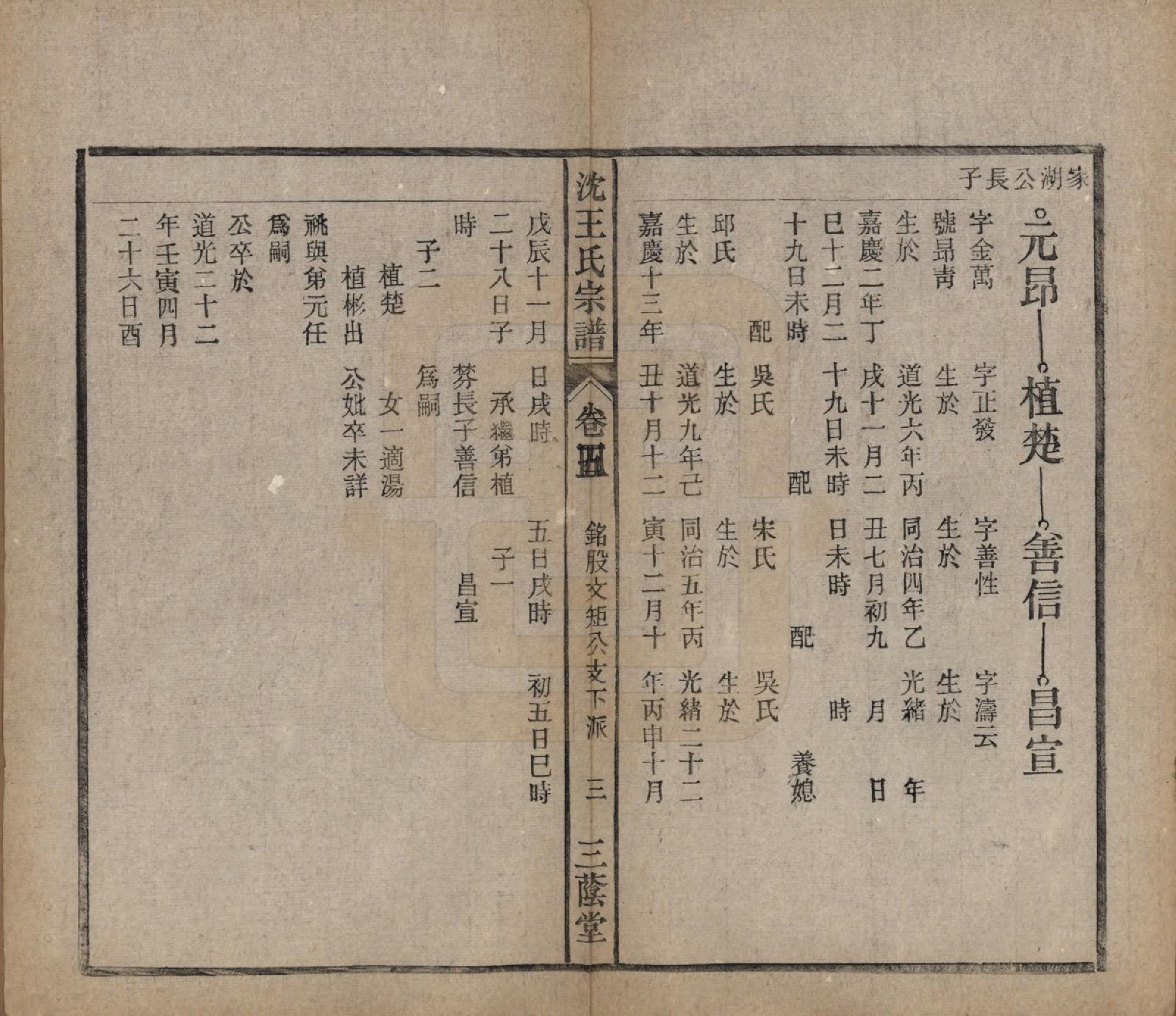 GTJP1534.王.中国.沈王氏宗谱二十卷末一卷.民国二十三年（1934）_005.pdf_第3页