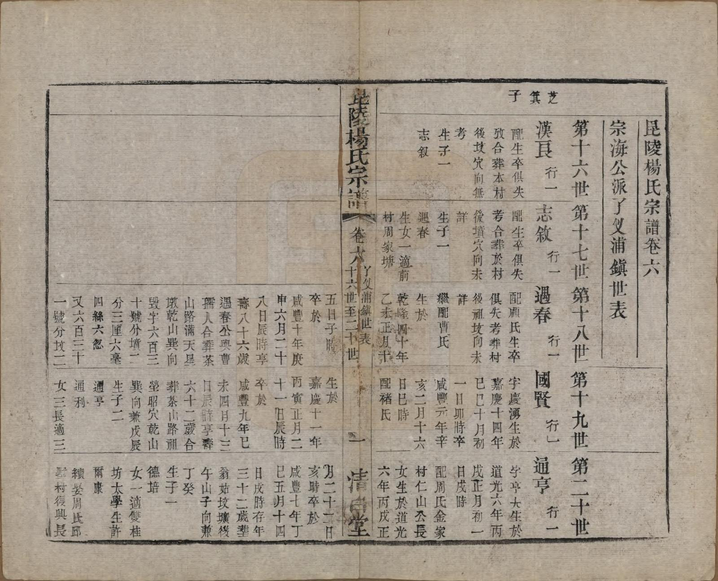 GTJP1991.杨.中国.杨氏宗谱八卷.清同治十二年（1873）_006.pdf_第1页