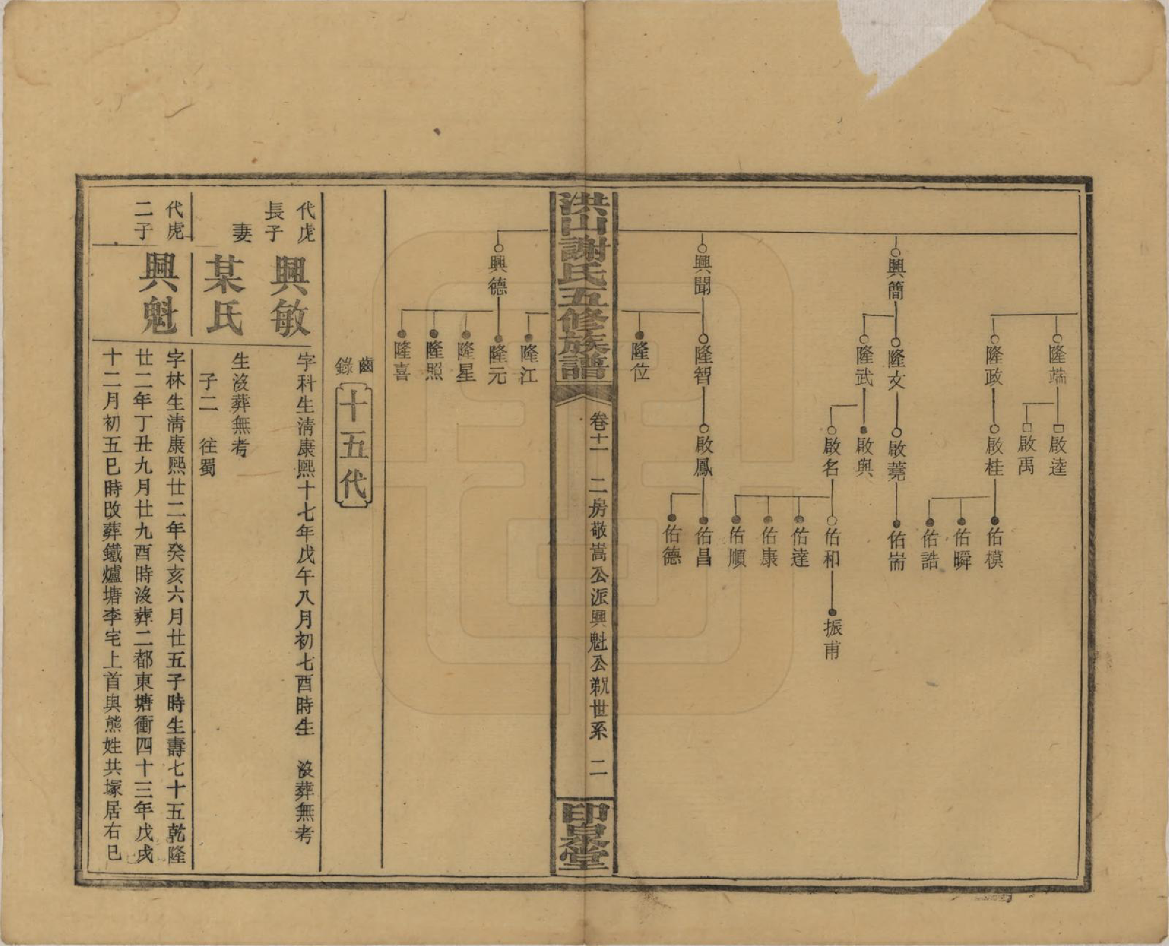 GTJP1771.谢.中国.洪山谢氏五修族谱.民国18-19年[1929-1930]_011.pdf_第2页