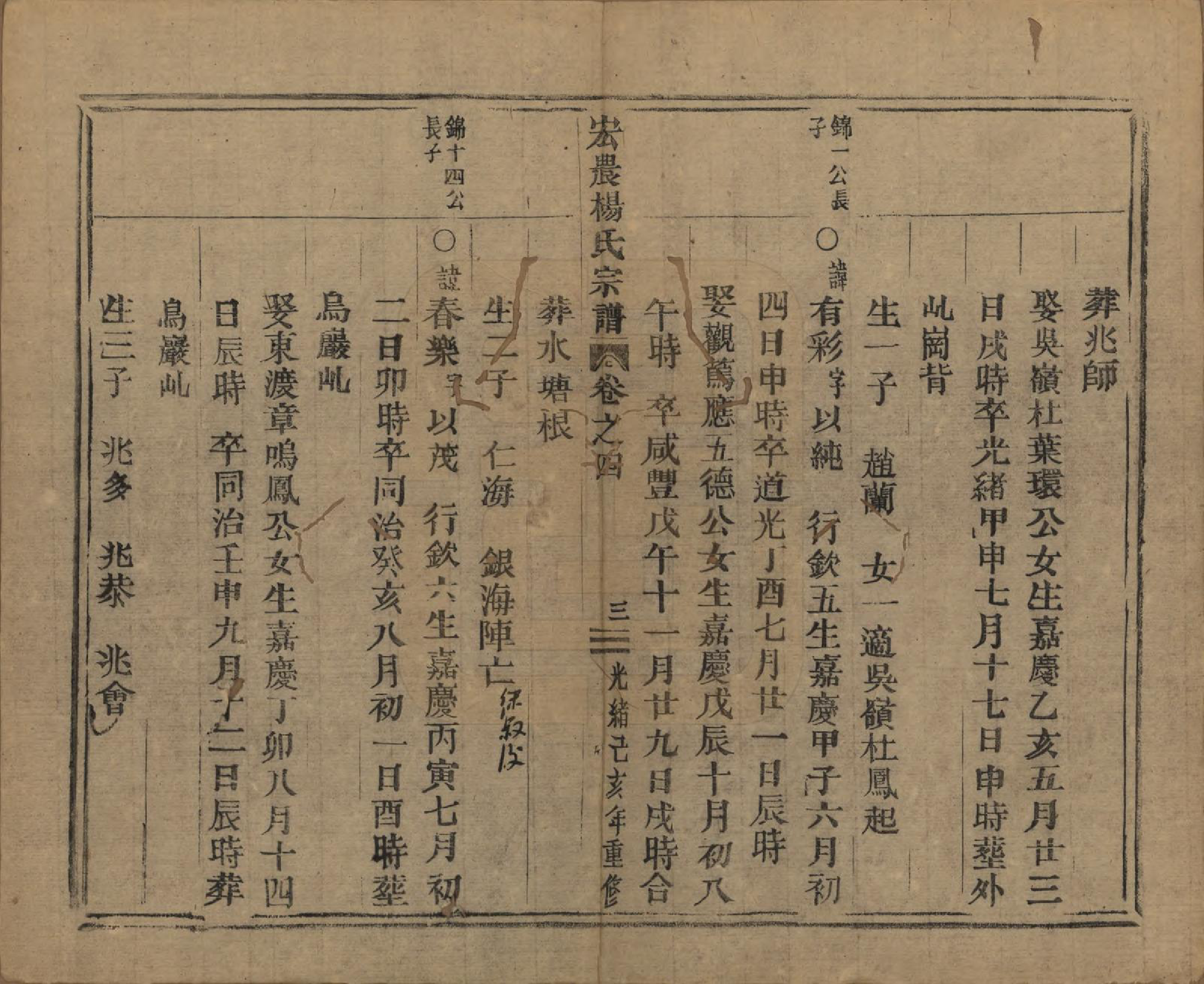 GTJP1980.杨.中国.弘农杨氏宗谱□□卷.清光绪二十五年（1899）_004.pdf_第3页