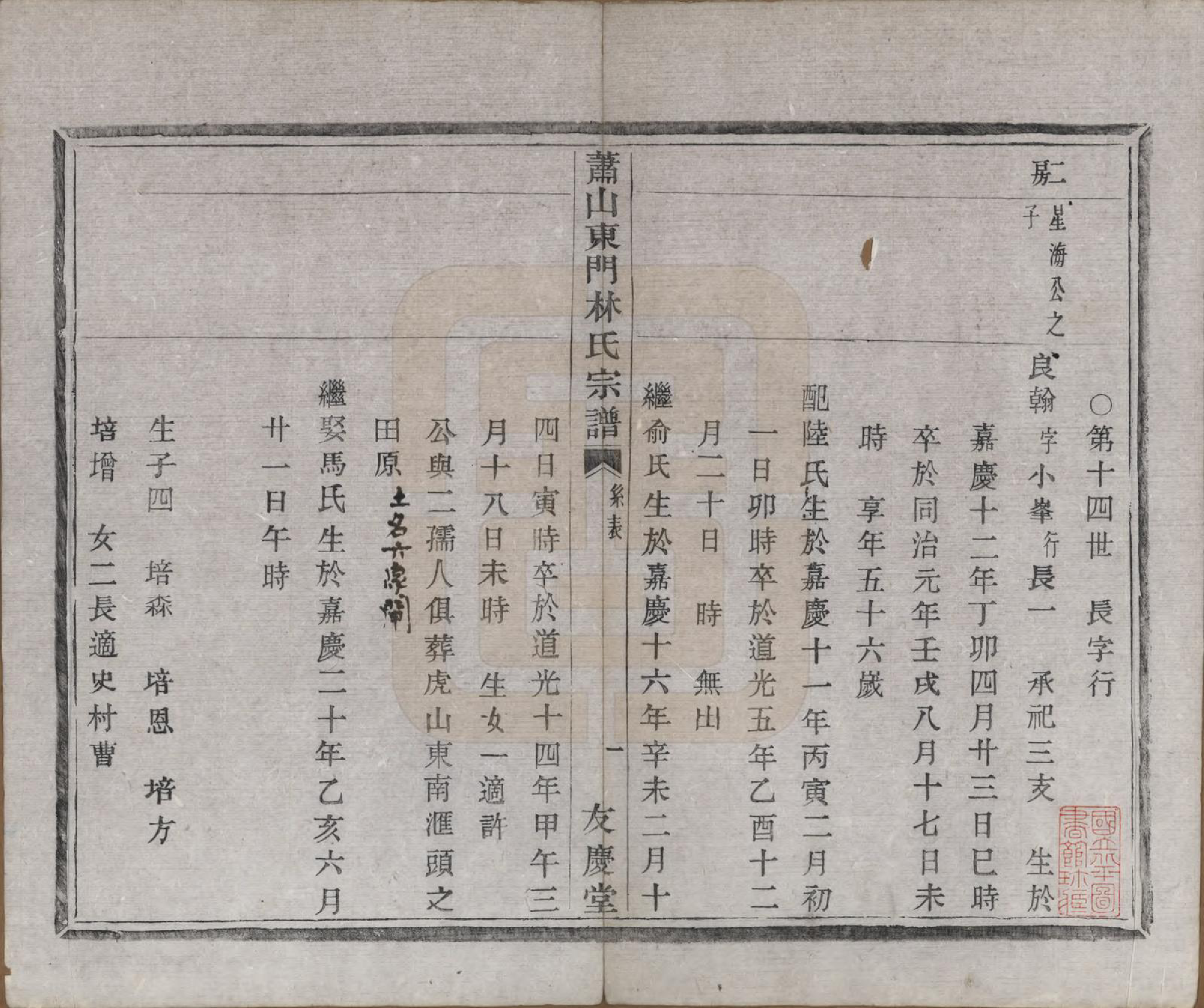 GTJP0894.林.浙江萧山.萧山东门林氏宗谱六卷.清光绪二十三年（1897）_006.pdf_第2页