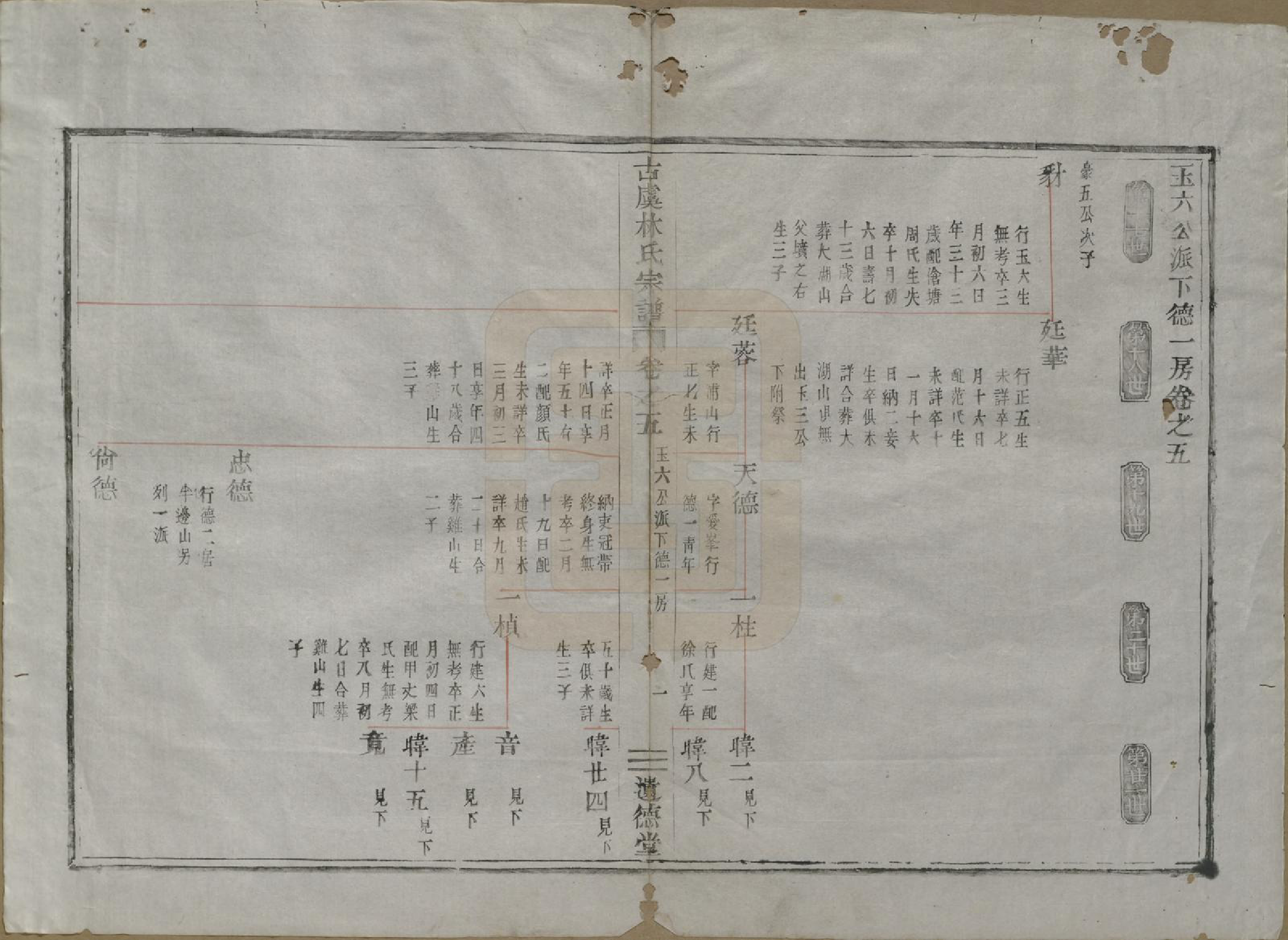 GTJP0898.林.浙江上虞.古虞林氏宗谱五卷.清光绪十二年（1886）_005.pdf_第1页