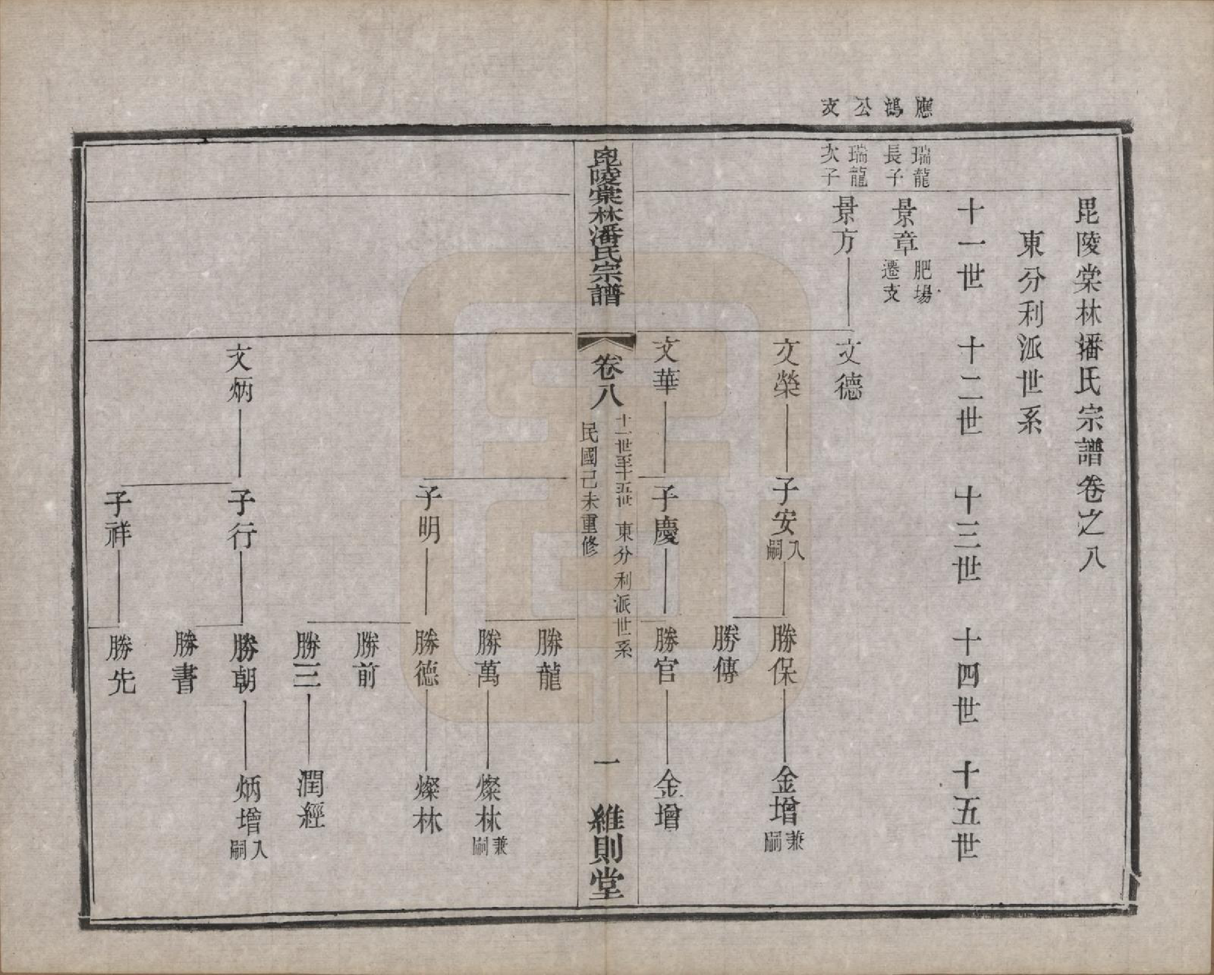 GTJP1118.潘.江苏常州.毗陵棠林潘氏宗谱十二卷首一卷.民国八年（1919）_008.pdf_第1页