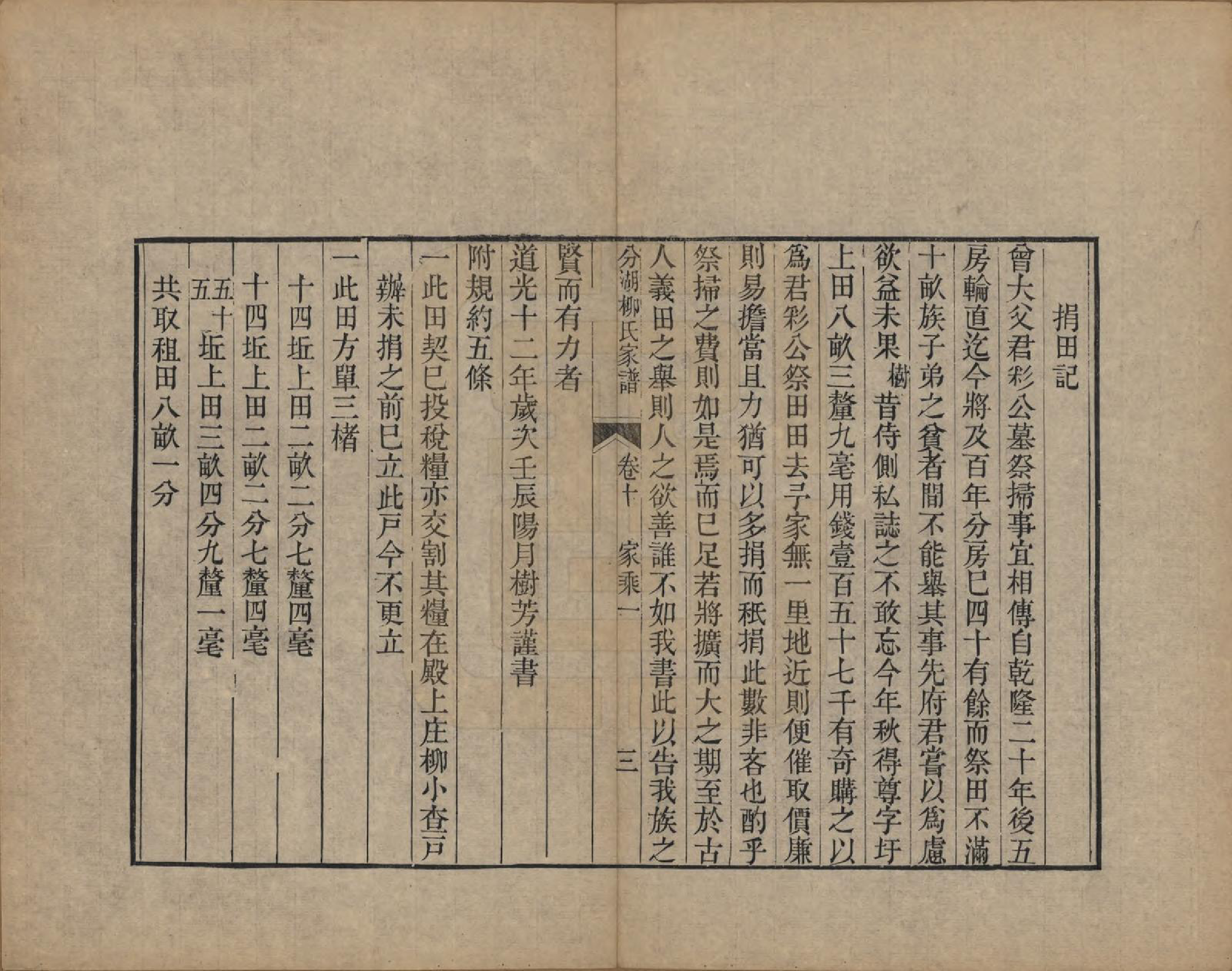 GTJP0995.柳.江苏吴江.分湖柳氏家谱十卷.清道光二十一年（1841）_010.pdf_第3页