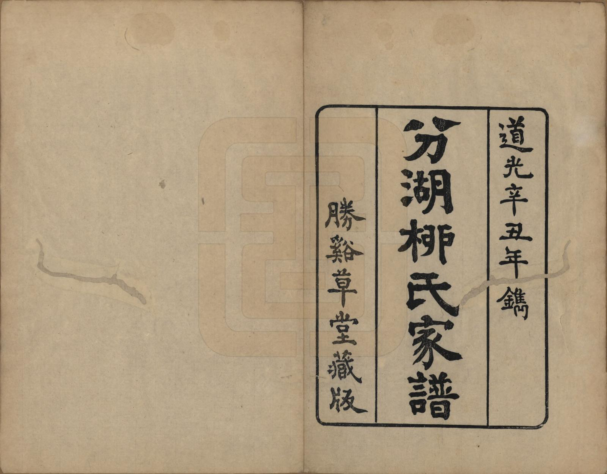 GTJP0995.柳.江苏吴江.分湖柳氏家谱十卷.清道光二十一年（1841）_001.pdf_第2页