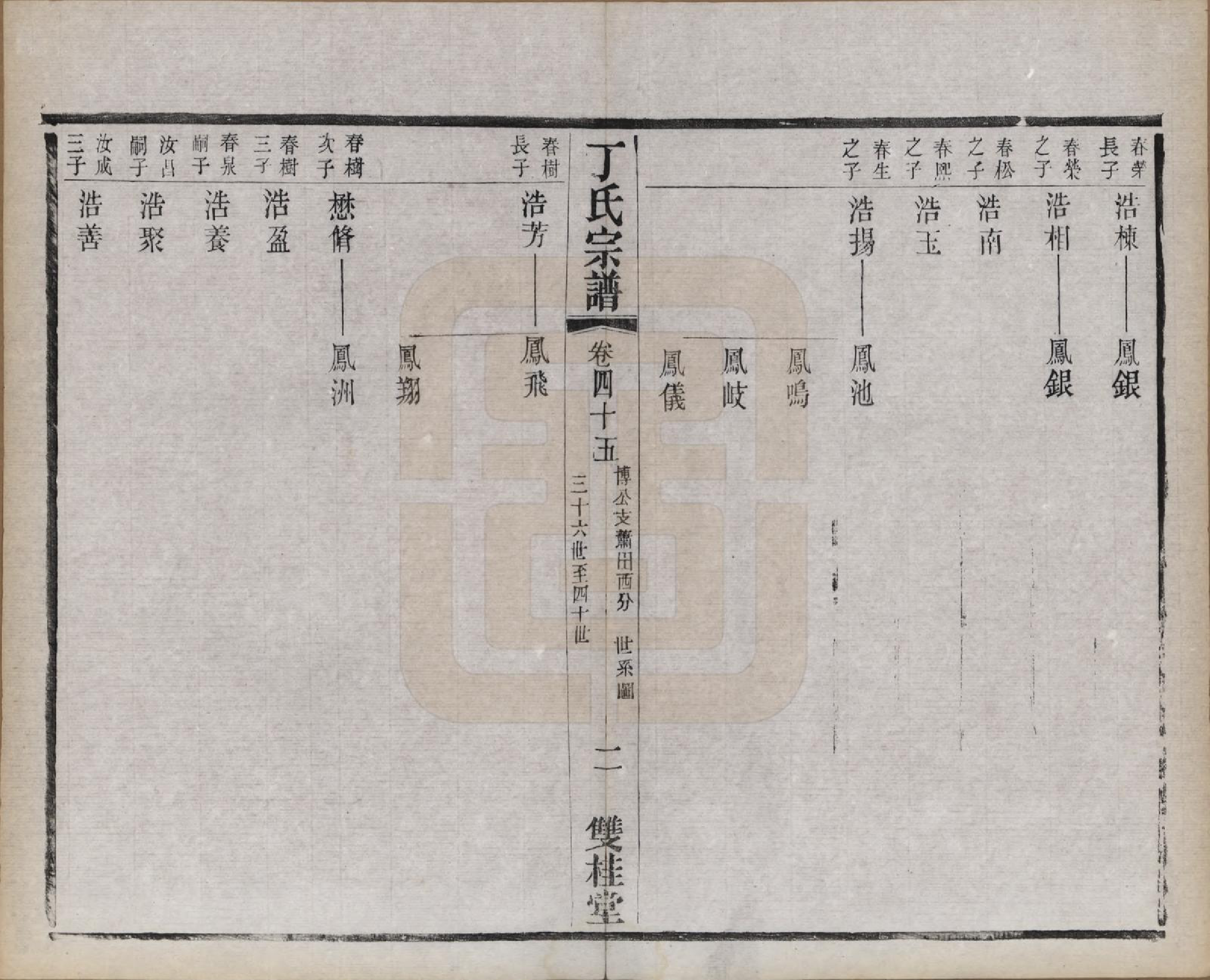 GTJP0298.丁.江苏常州.丁氏宗谱四十六卷首六卷.清光绪十年（1884）_045.pdf_第2页