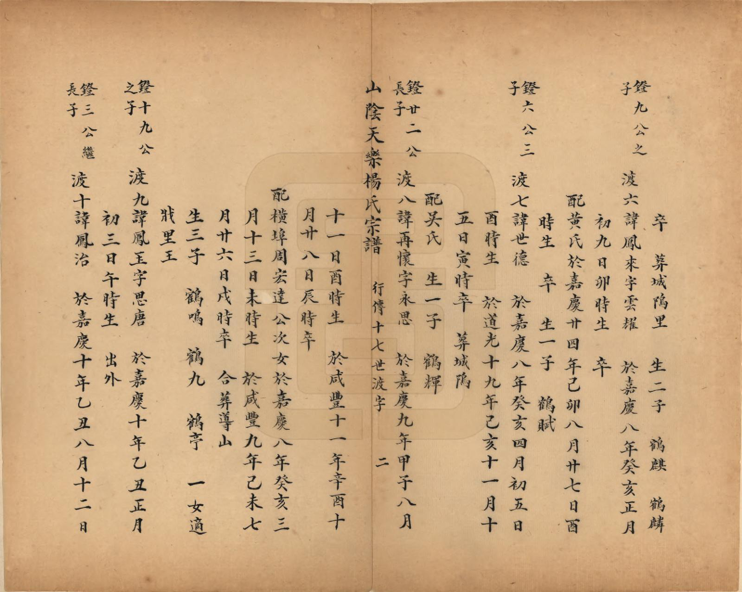 GTJP1977.杨.浙江绍兴.山阴天乐杨氏宗谱十四卷.清光绪八年（1882）_005.pdf_第2页