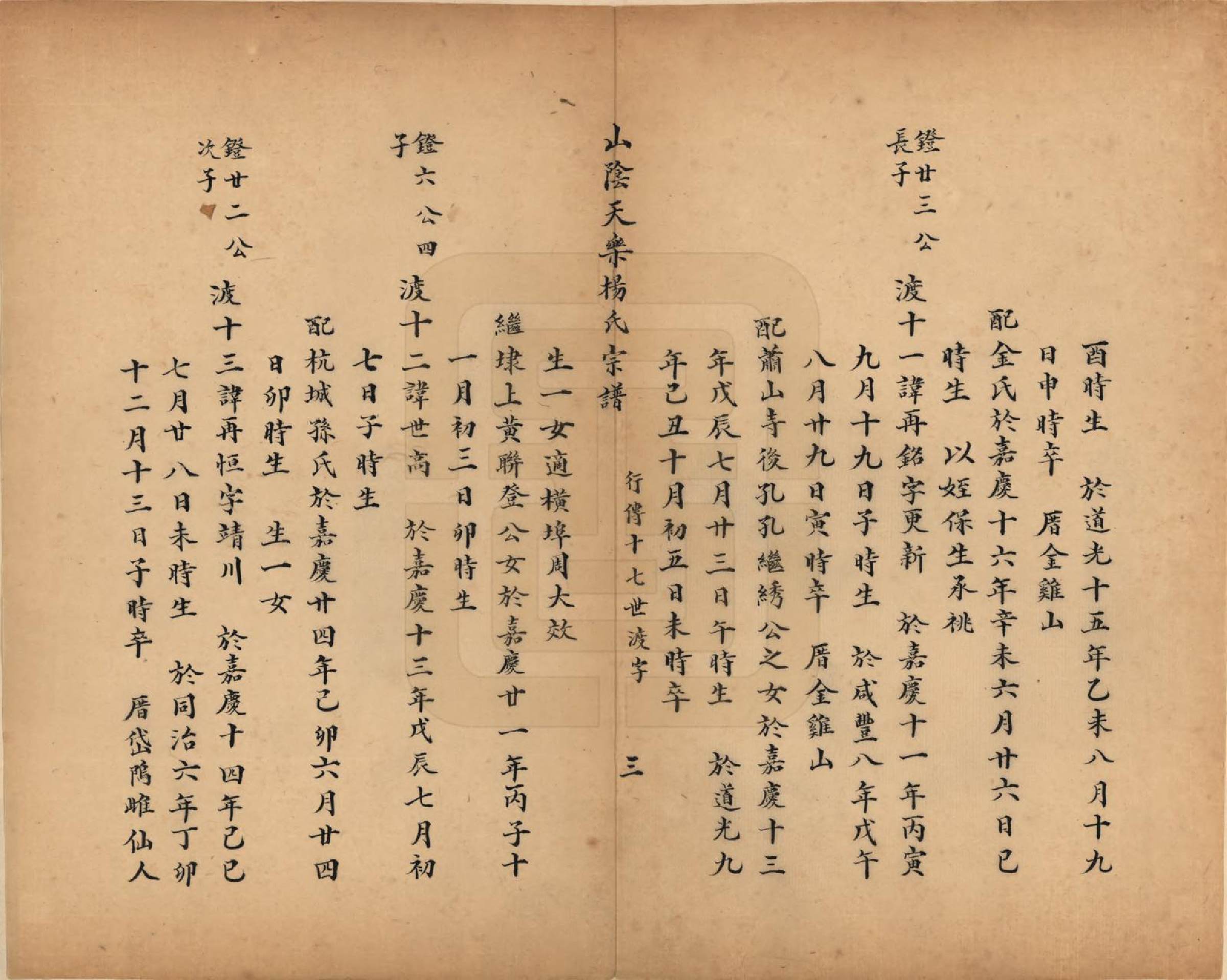 GTJP1977.杨.浙江绍兴.山阴天乐杨氏宗谱十四卷.清光绪八年（1882）_005.pdf_第3页