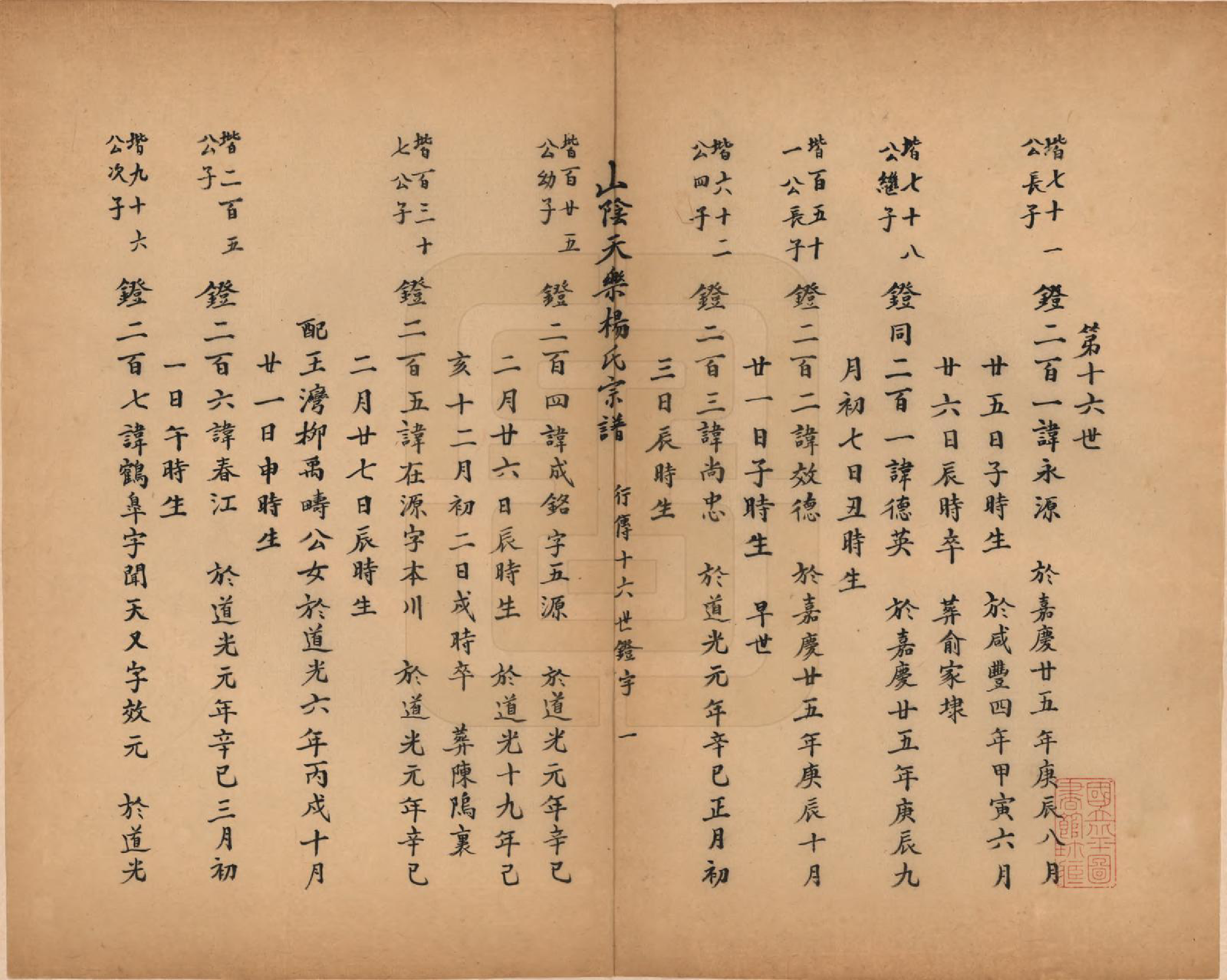 GTJP1977.杨.浙江绍兴.山阴天乐杨氏宗谱十四卷.清光绪八年（1882）_014.pdf_第1页