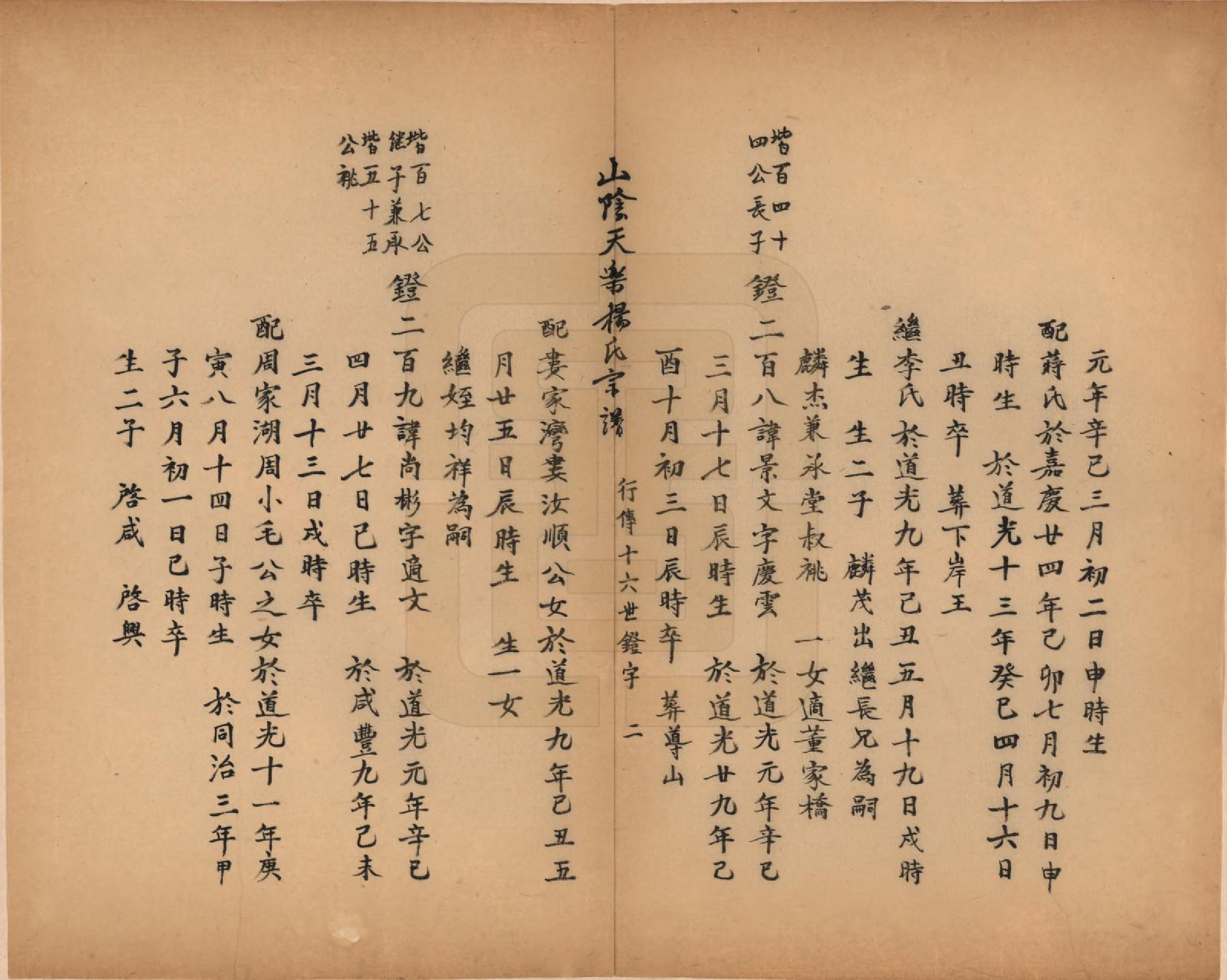 GTJP1977.杨.浙江绍兴.山阴天乐杨氏宗谱十四卷.清光绪八年（1882）_014.pdf_第2页