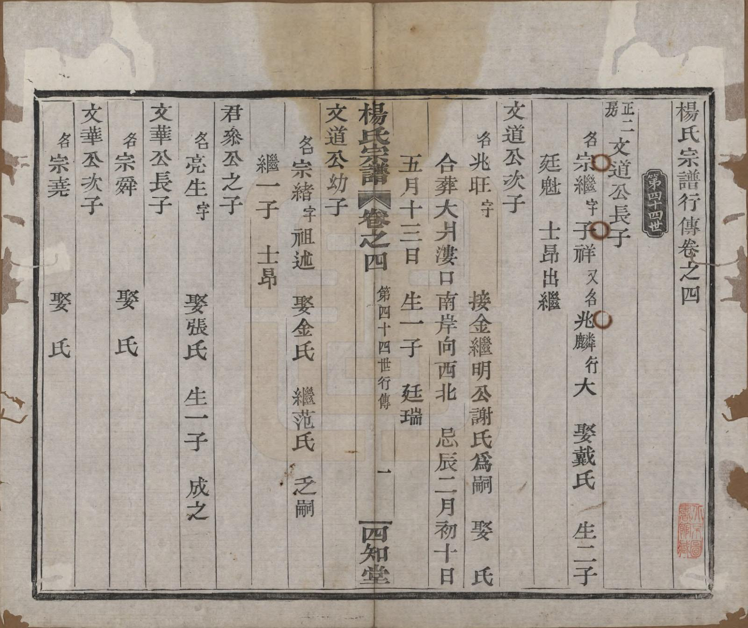 GTJP1985.杨.浙江绍兴.山阴杨氏宗谱七卷.清光绪十八年（1892）_004.pdf_第1页