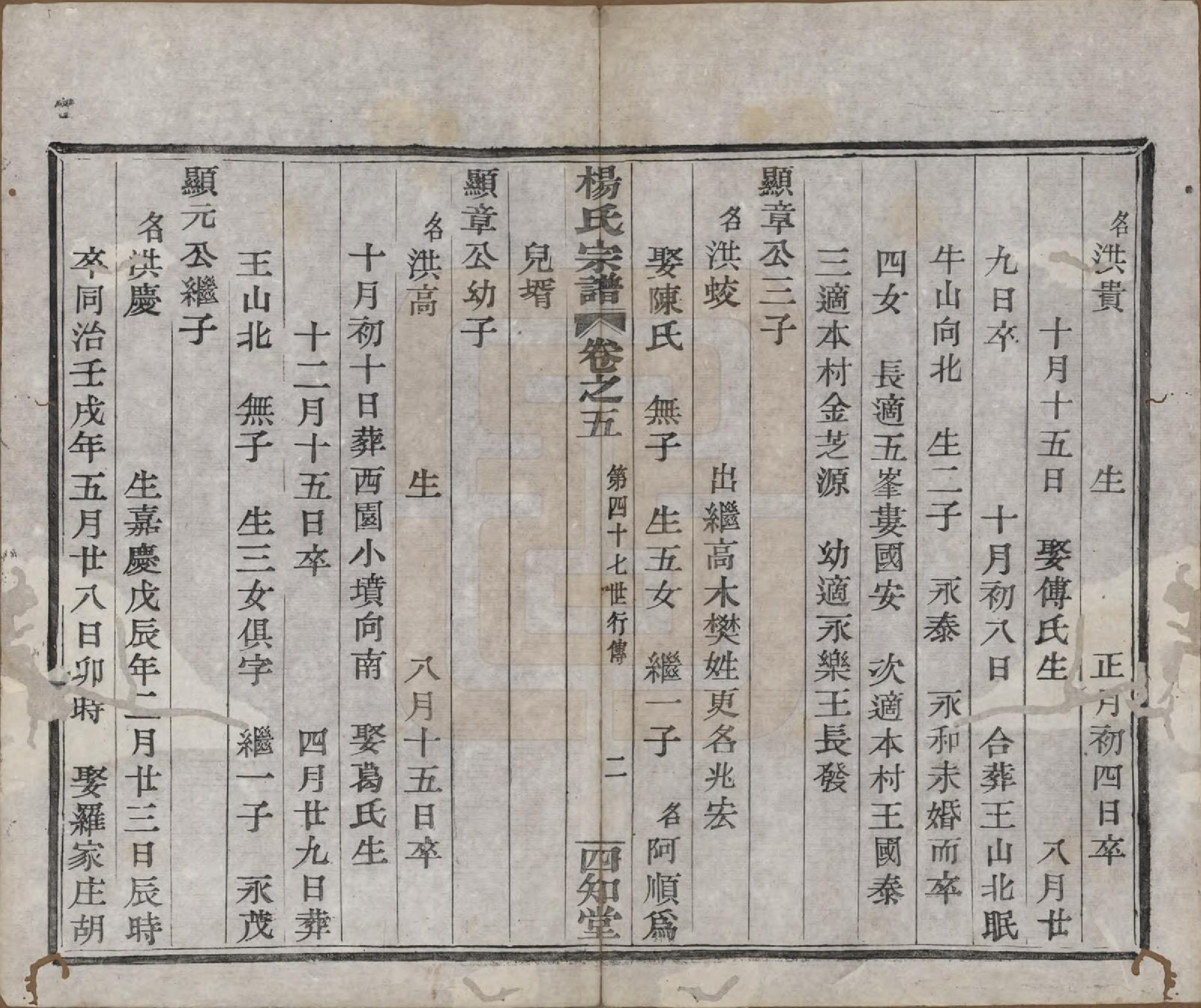 GTJP1985.杨.浙江绍兴.山阴杨氏宗谱七卷.清光绪十八年（1892）_005.pdf_第2页