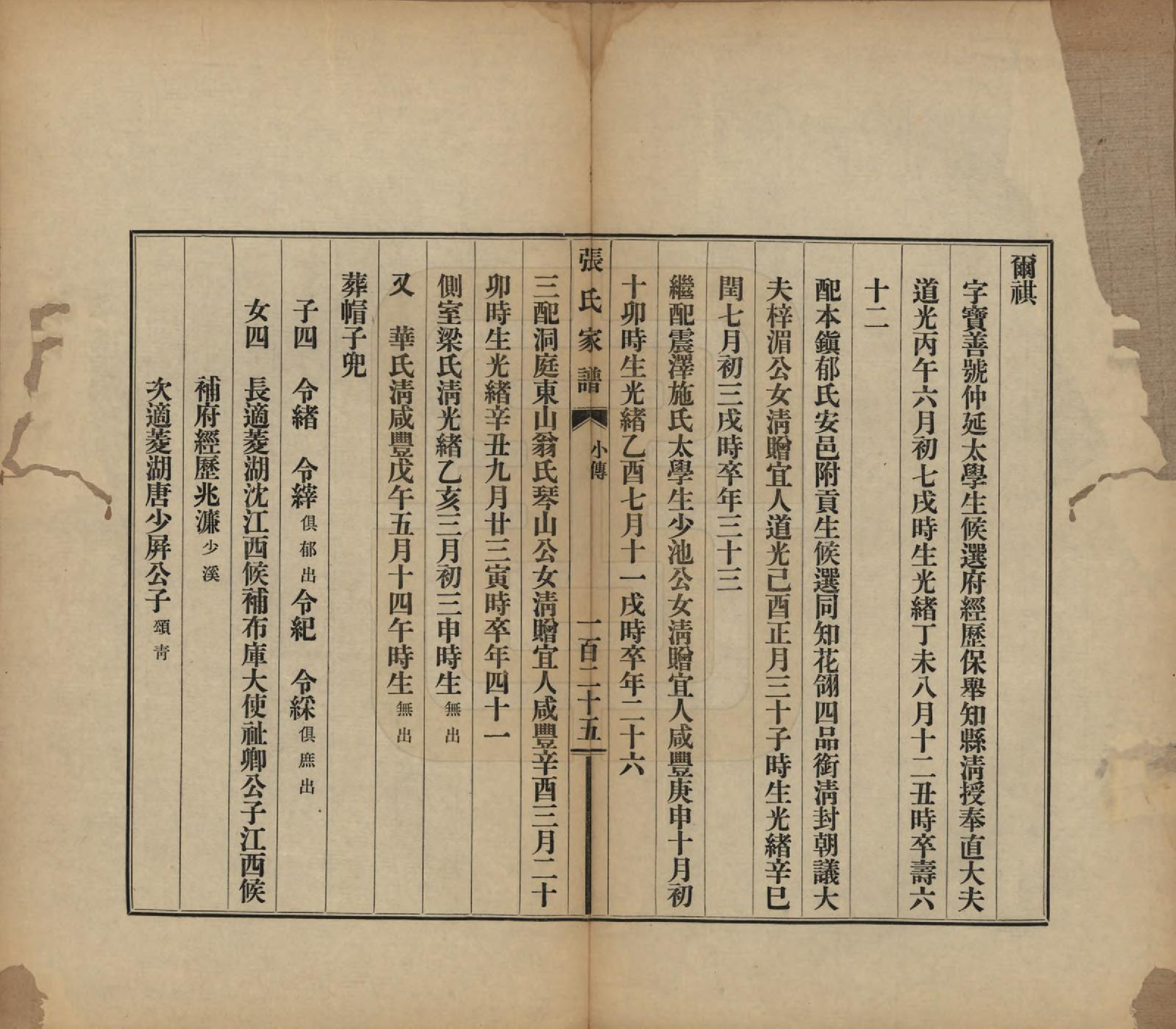 GTJP2086.张.浙江乌程.张氏家谱不分卷.民国八年(1919)_004.pdf_第1页