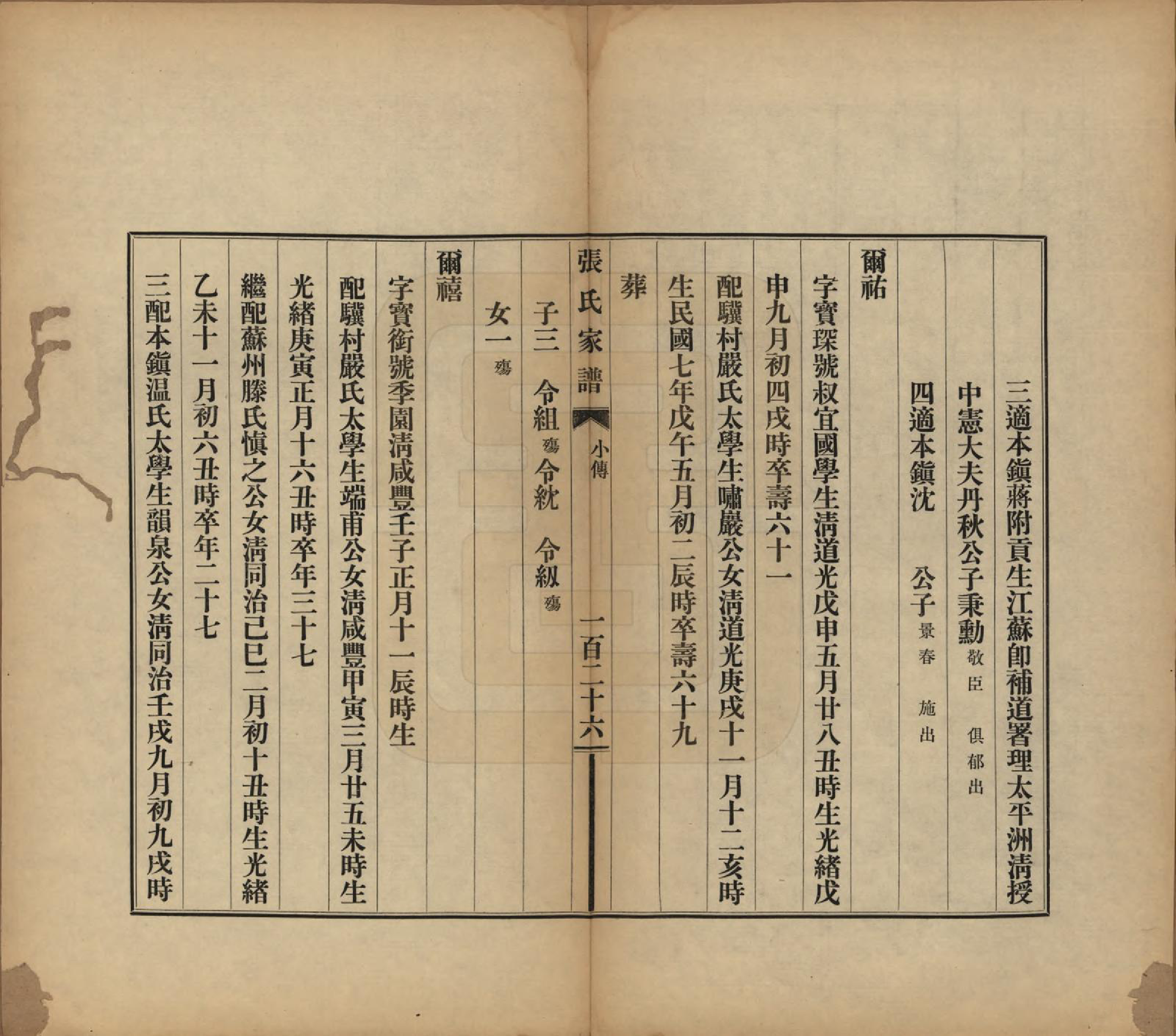 GTJP2086.张.浙江乌程.张氏家谱不分卷.民国八年(1919)_004.pdf_第2页