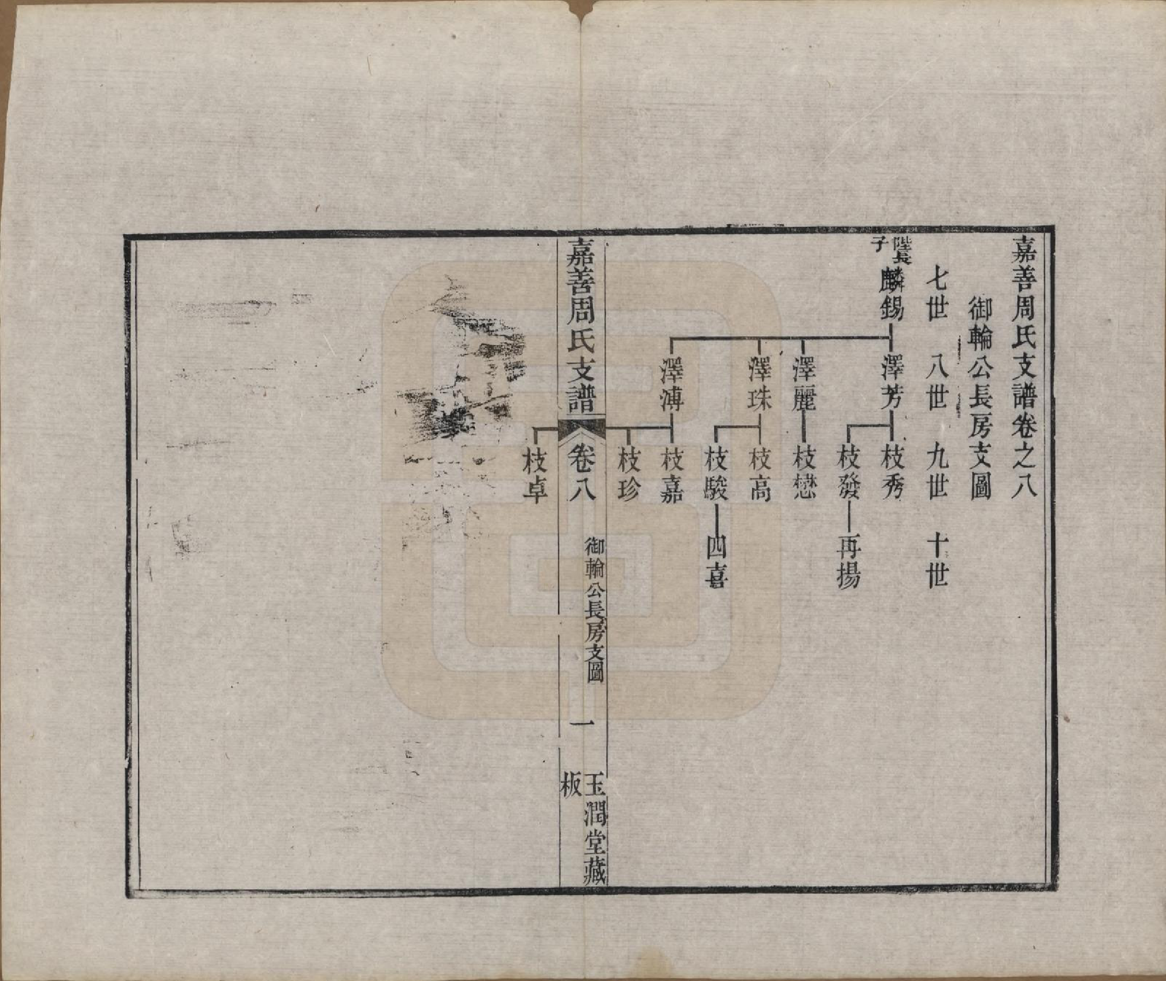 GTJP2322.周.浙江嘉善.嘉善周氏支谱十四卷首一卷.清道光十九年（1839）_008.pdf_第1页