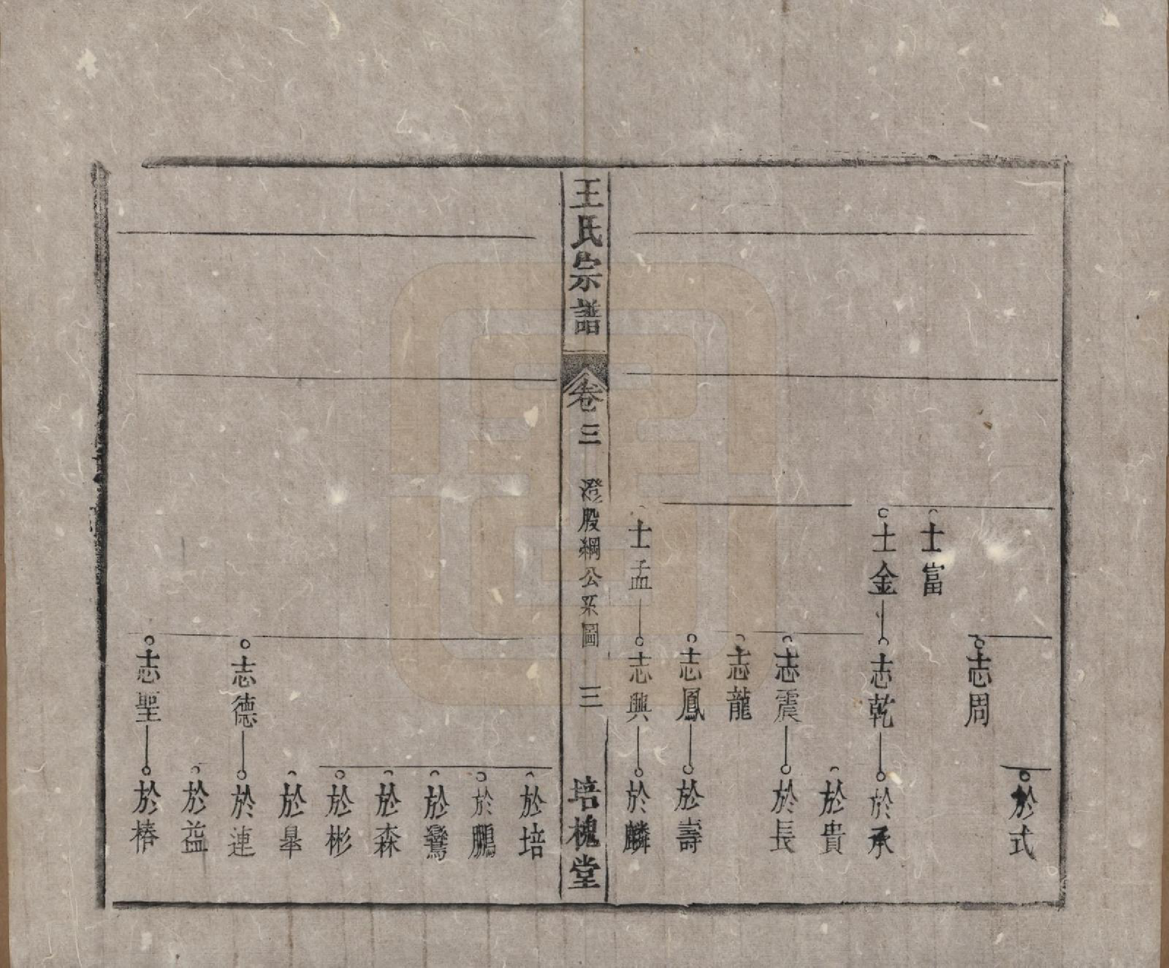 GTJP1620.王.安徽桐城.王氏宗谱.清同治5年[1866]_003.pdf_第3页