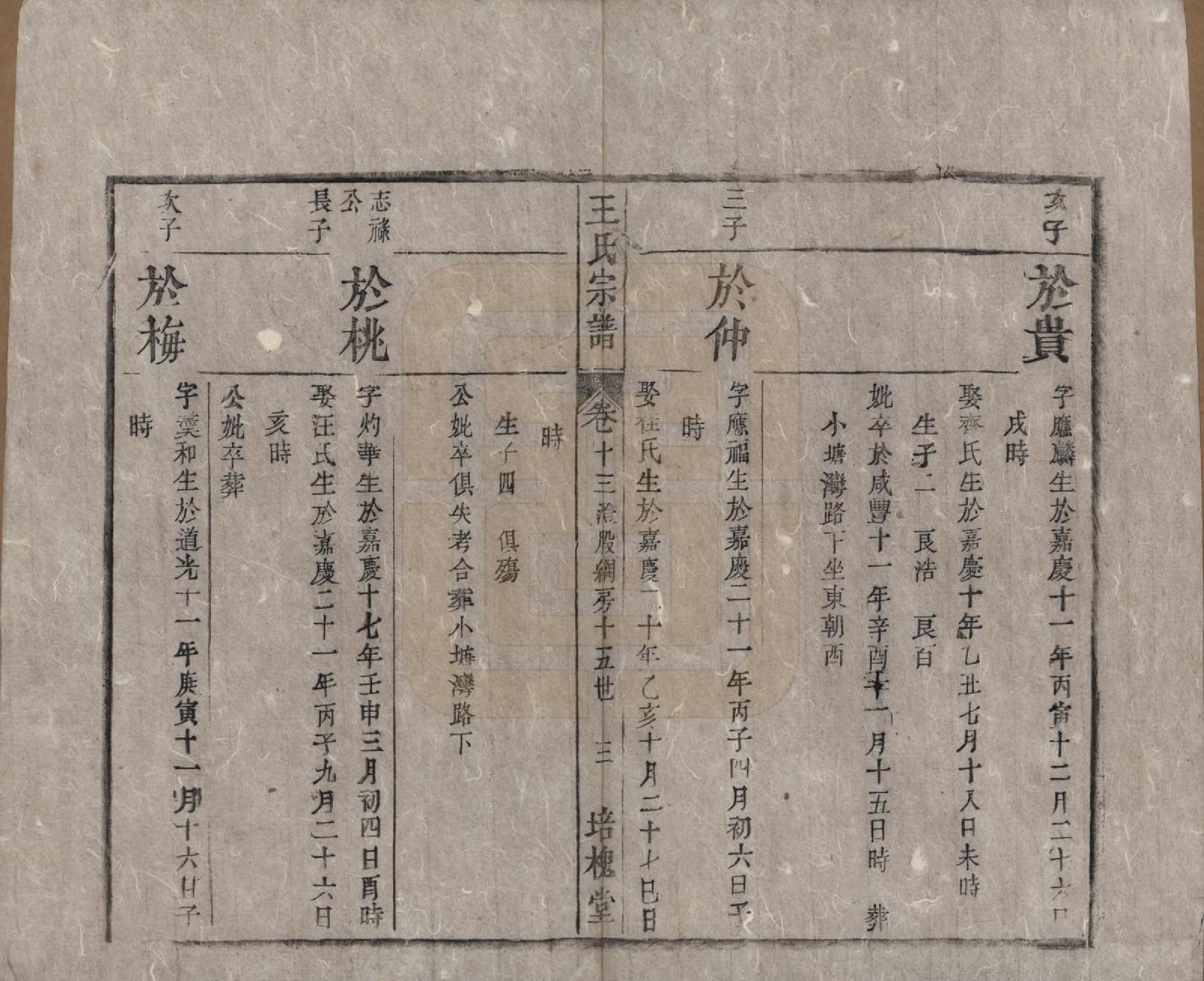 GTJP1620.王.安徽桐城.王氏宗谱.清同治5年[1866]_014.pdf_第3页