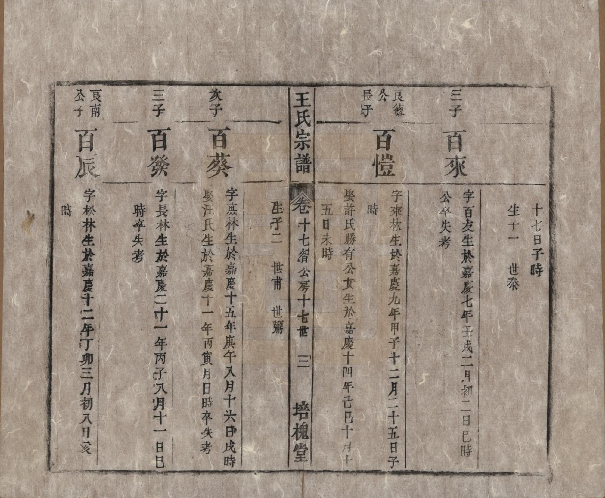 GTJP1620.王.安徽桐城.王氏宗谱.清同治5年[1866]_017.pdf_第3页