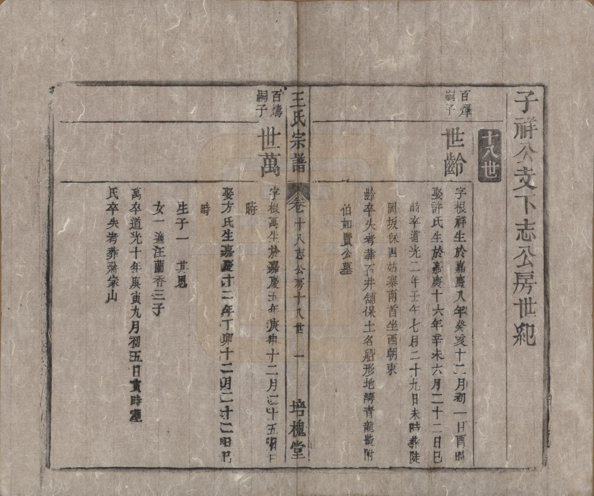 GTJP1620.王.安徽桐城.王氏宗谱.清同治5年[1866]_018.pdf_第1页