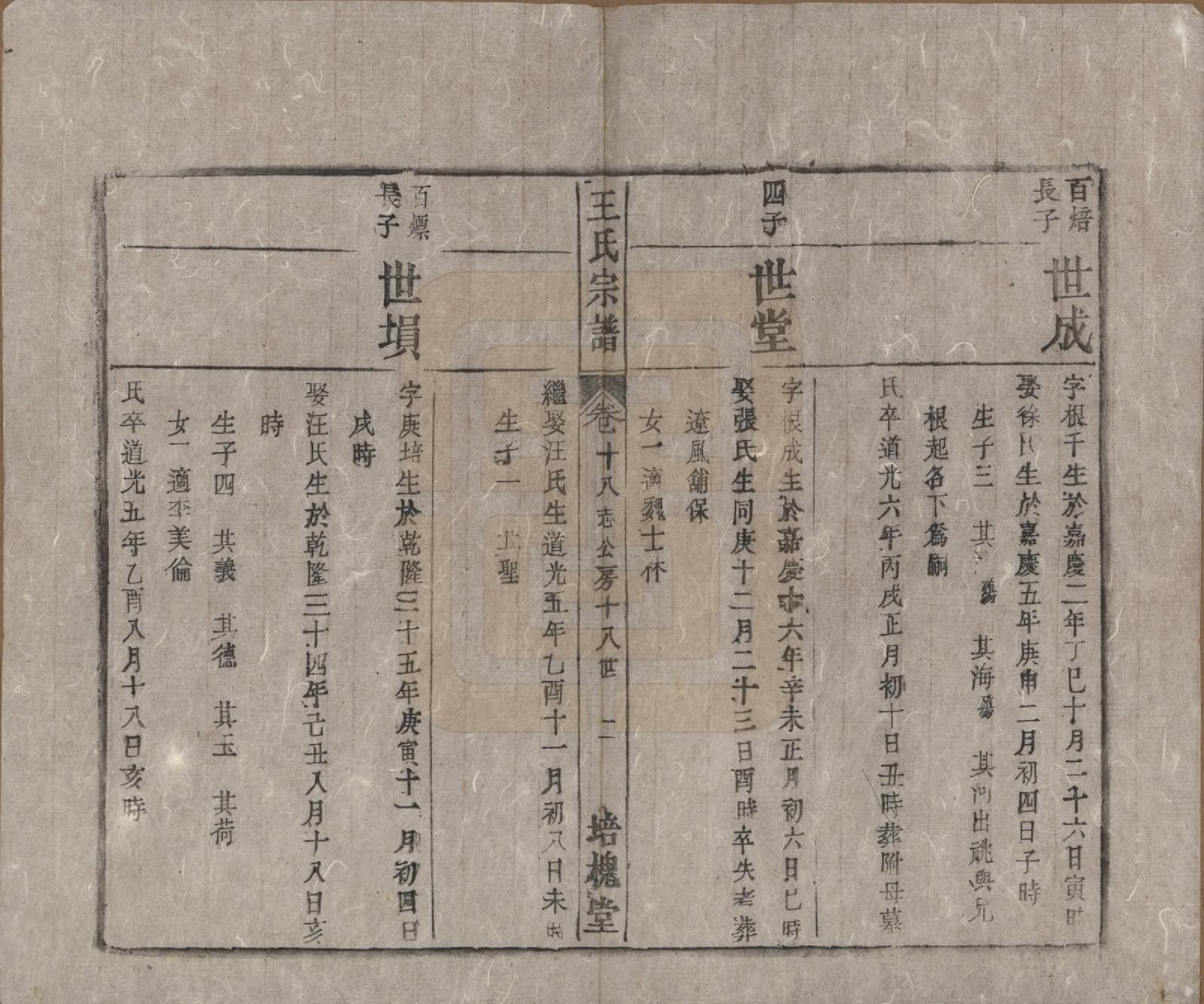 GTJP1620.王.安徽桐城.王氏宗谱.清同治5年[1866]_018.pdf_第2页