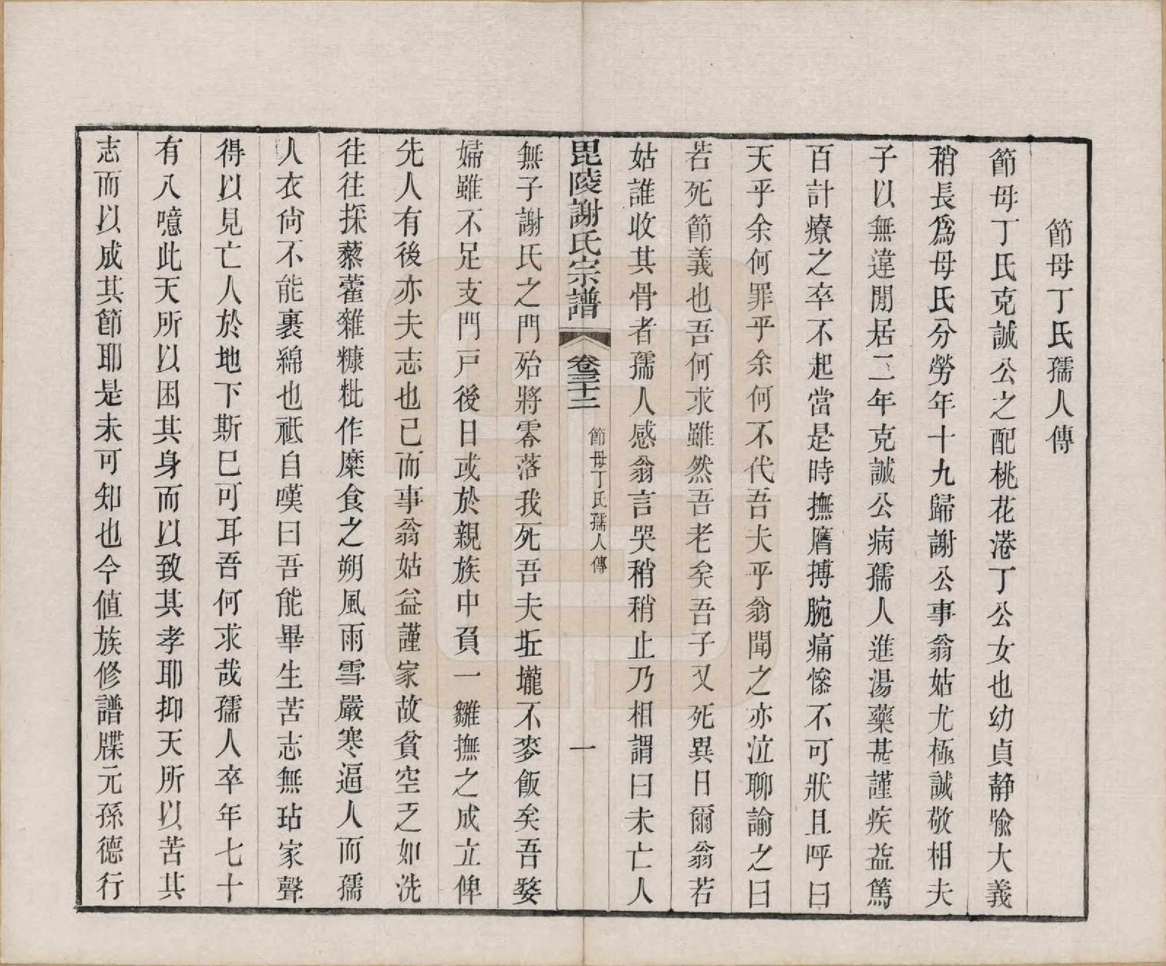 GTJP1791.谢.江苏常州.毗陵谢氏宗谱三十六卷.清光绪二年（1877）_032.pdf_第2页