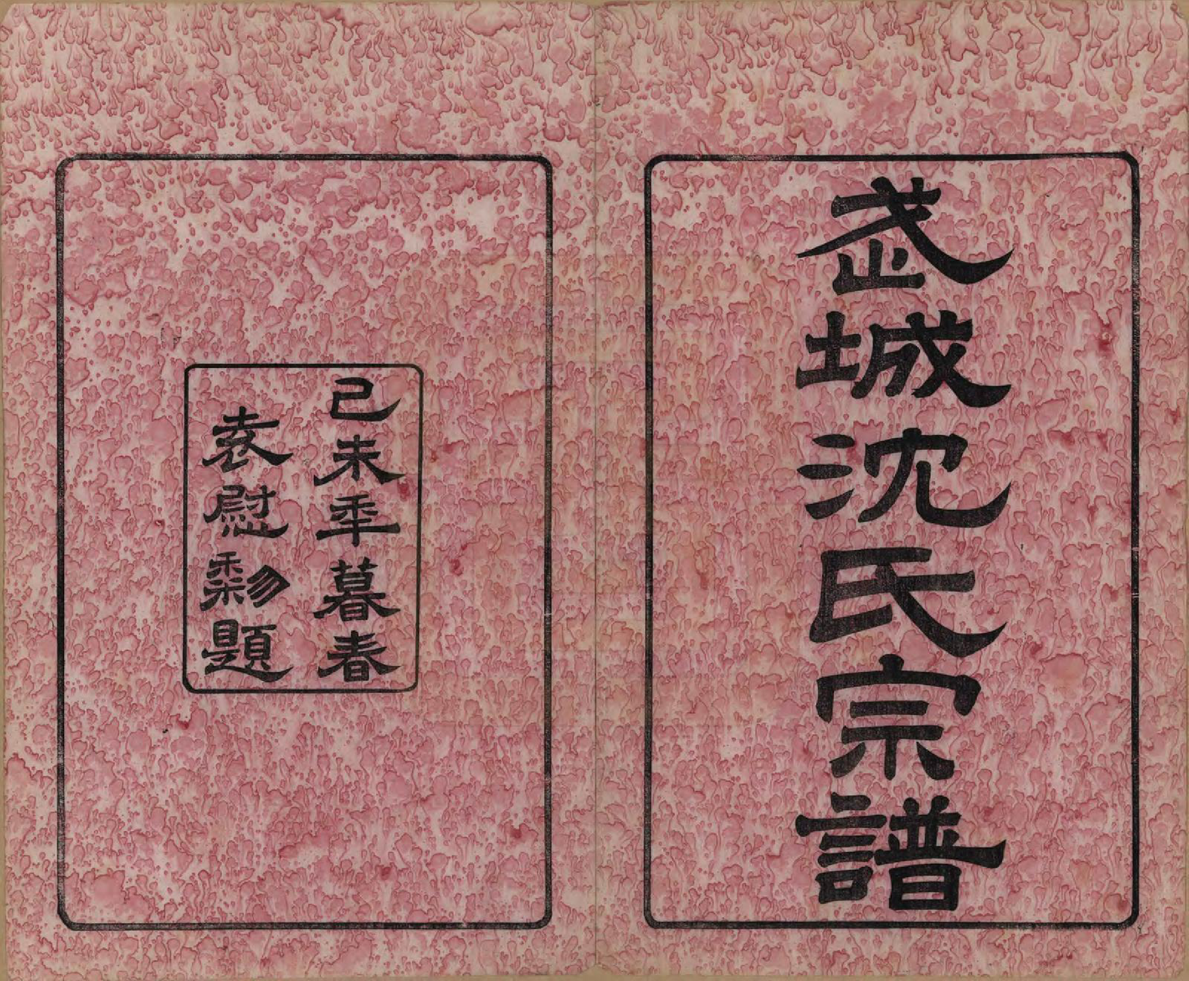 GTJP1257.沈.江苏毗陵.武城沈氏宗谱十卷首一卷.民国八年（1919）_001.pdf_第2页