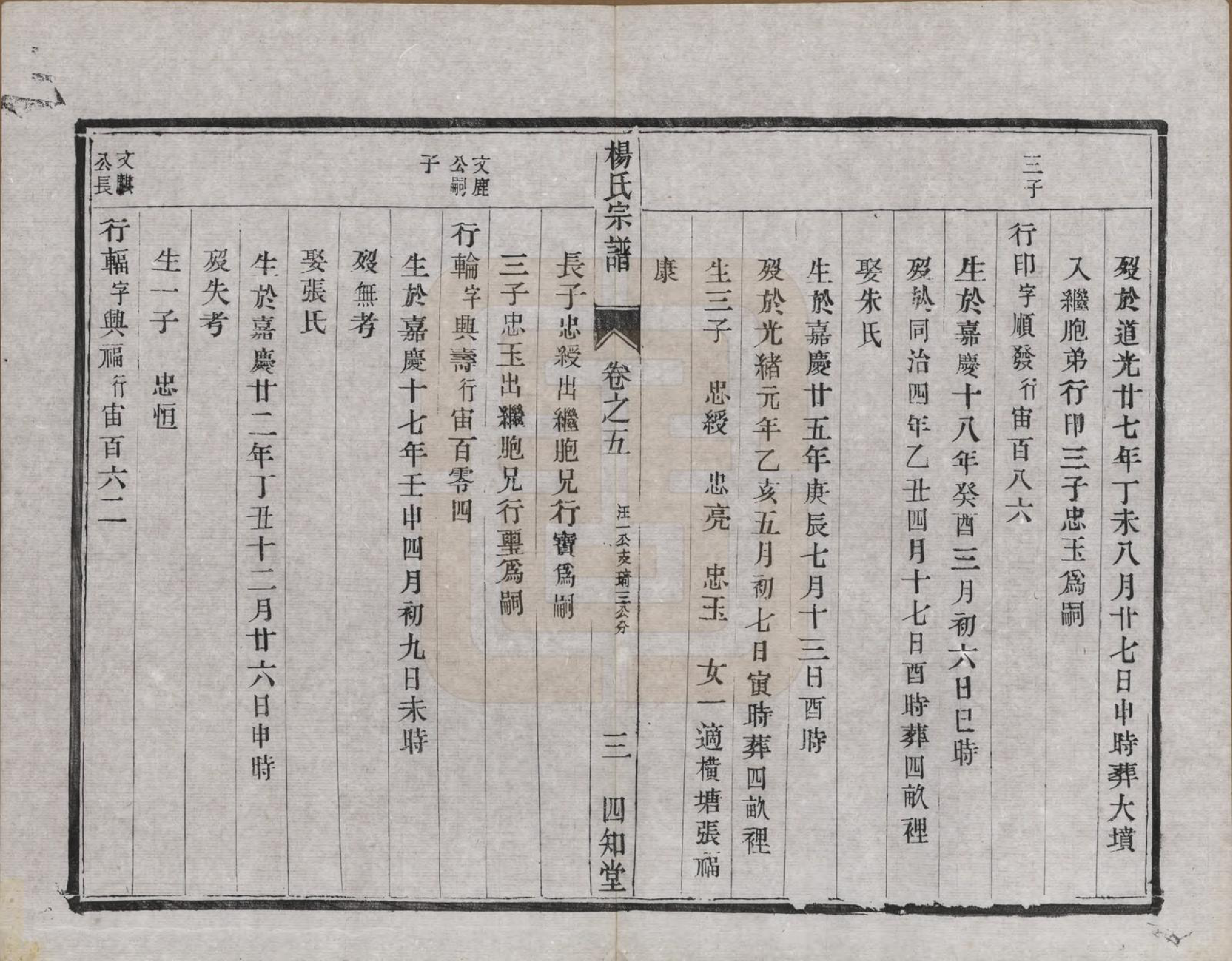 GTJP1984.杨.江苏云阳.（云阳）杨氏宗谱□□卷.清光绪三十四年（1908）_005.pdf_第3页