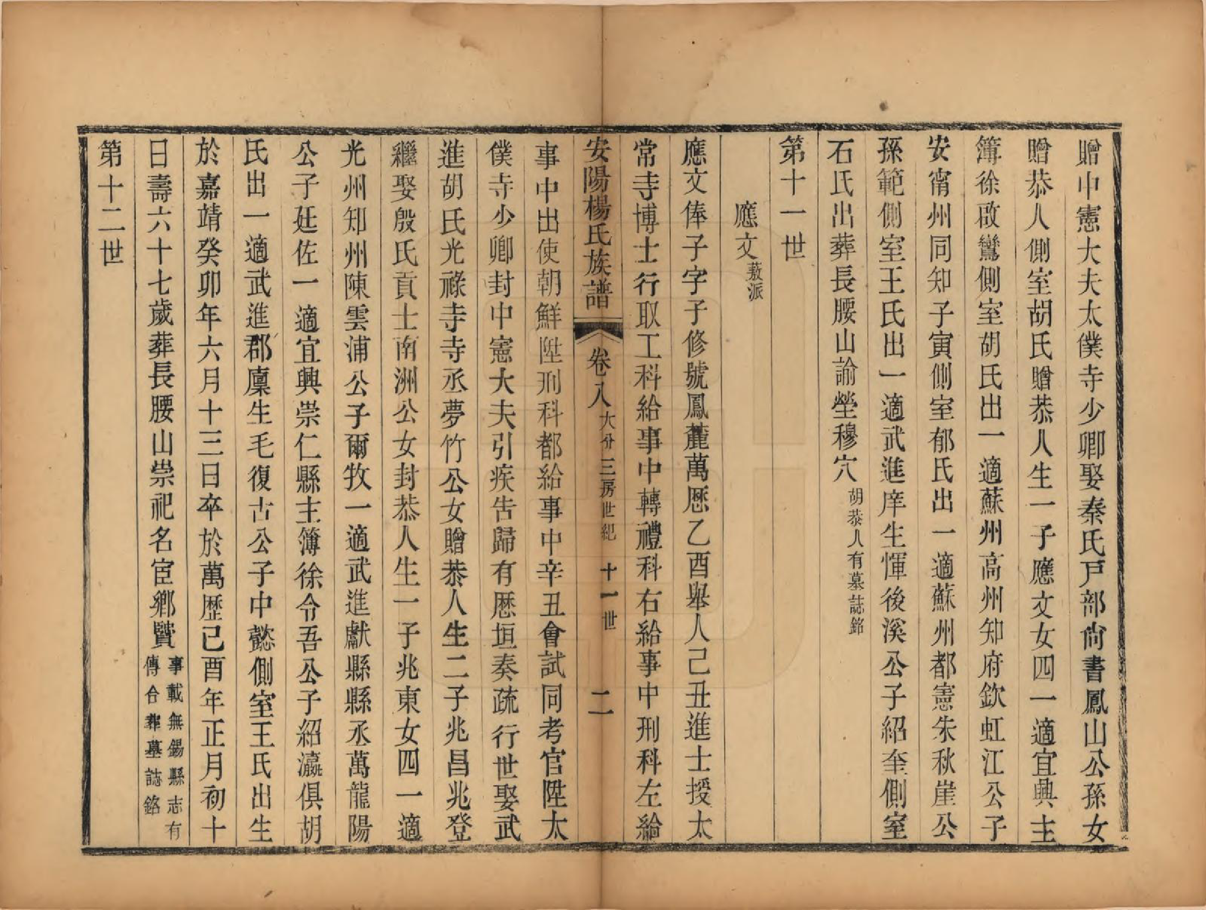 GTJP1990.杨.江苏无锡.安阳杨氏族谱二十四卷.清同治十二年(1873)_008.pdf_第2页