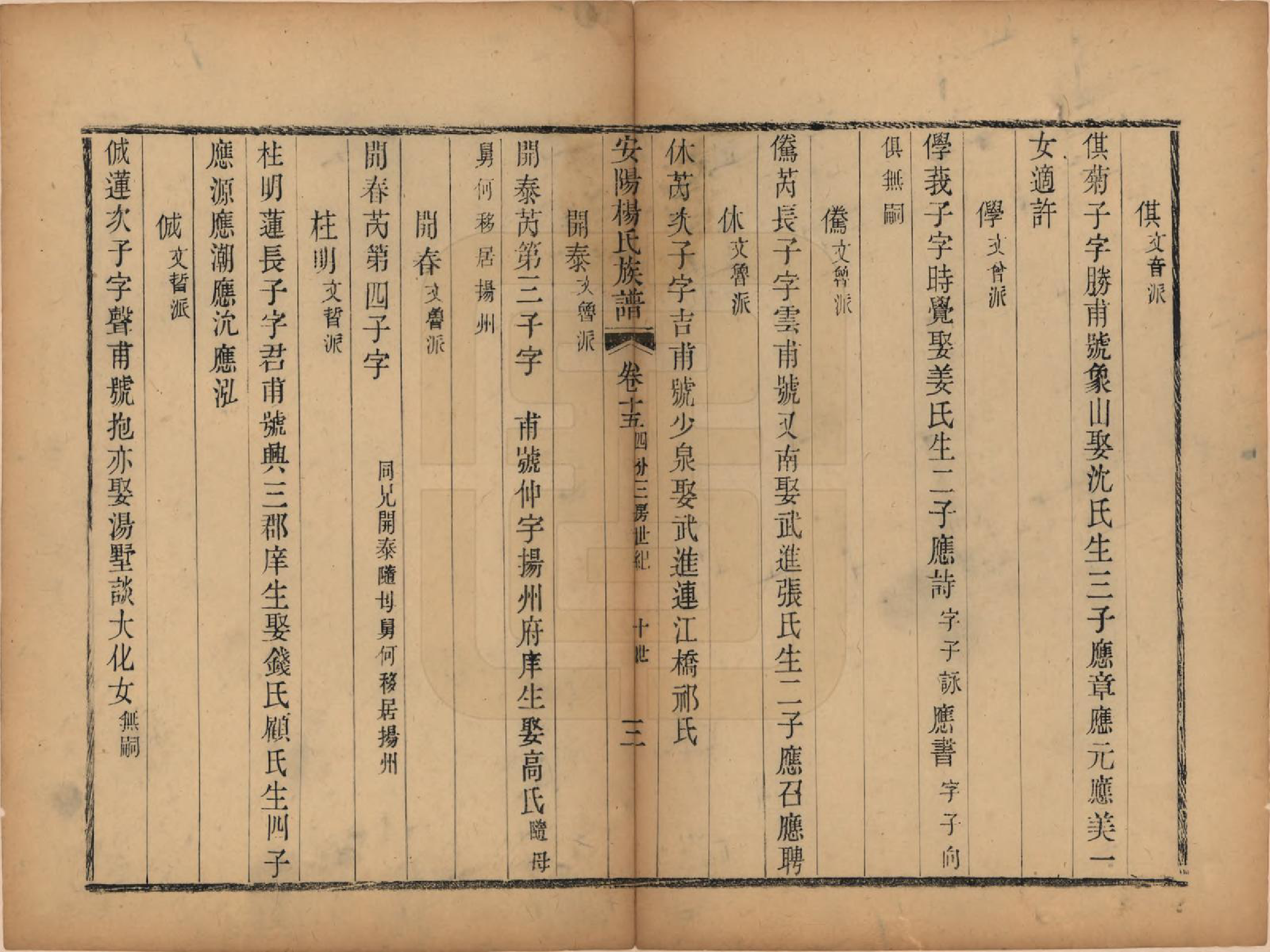 GTJP1990.杨.江苏无锡.安阳杨氏族谱二十四卷.清同治十二年(1873)_015.pdf_第3页