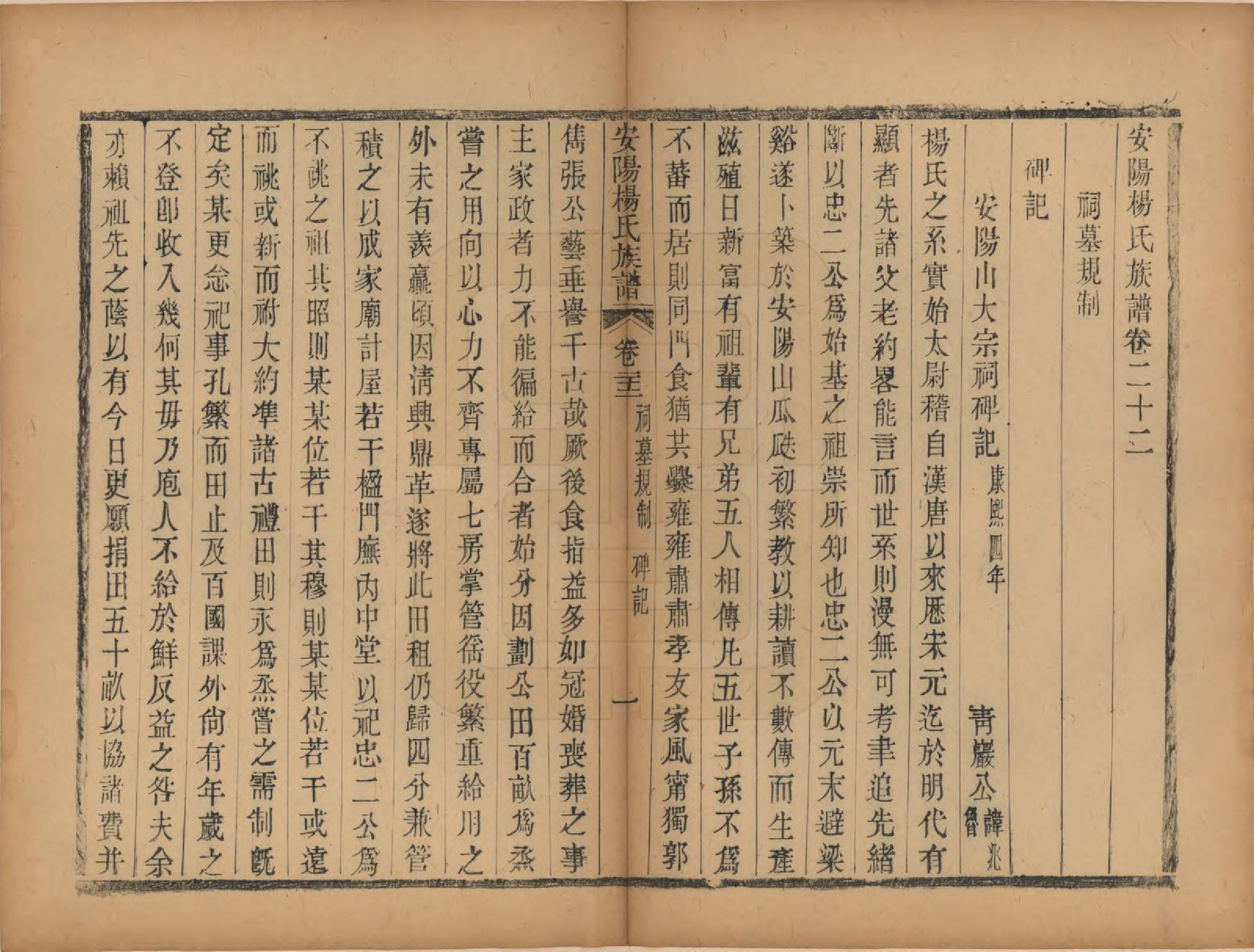 GTJP1990.杨.江苏无锡.安阳杨氏族谱二十四卷.清同治十二年(1873)_022.pdf_第1页