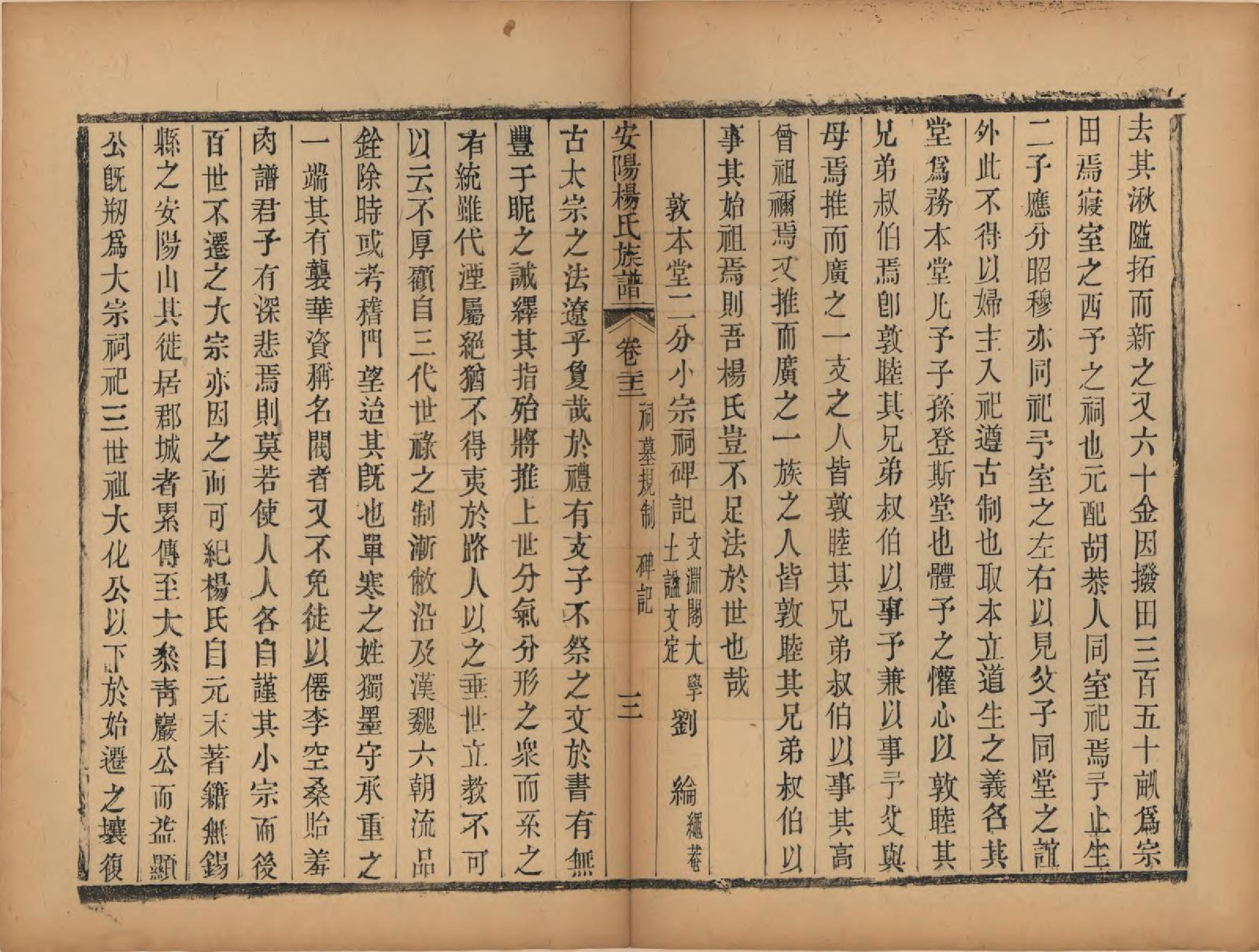 GTJP1990.杨.江苏无锡.安阳杨氏族谱二十四卷.清同治十二年(1873)_022.pdf_第3页