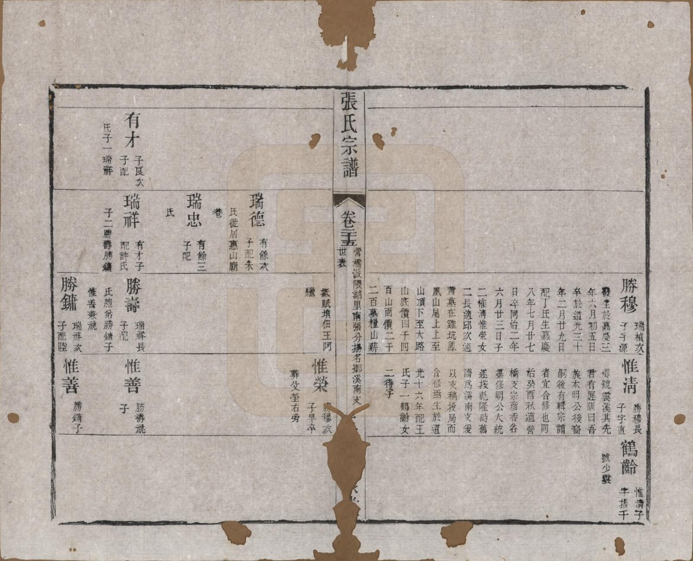 GTJP2170.张.江苏无锡.张氏宗谱.清同治十二年(1873)_025.pdf_第3页