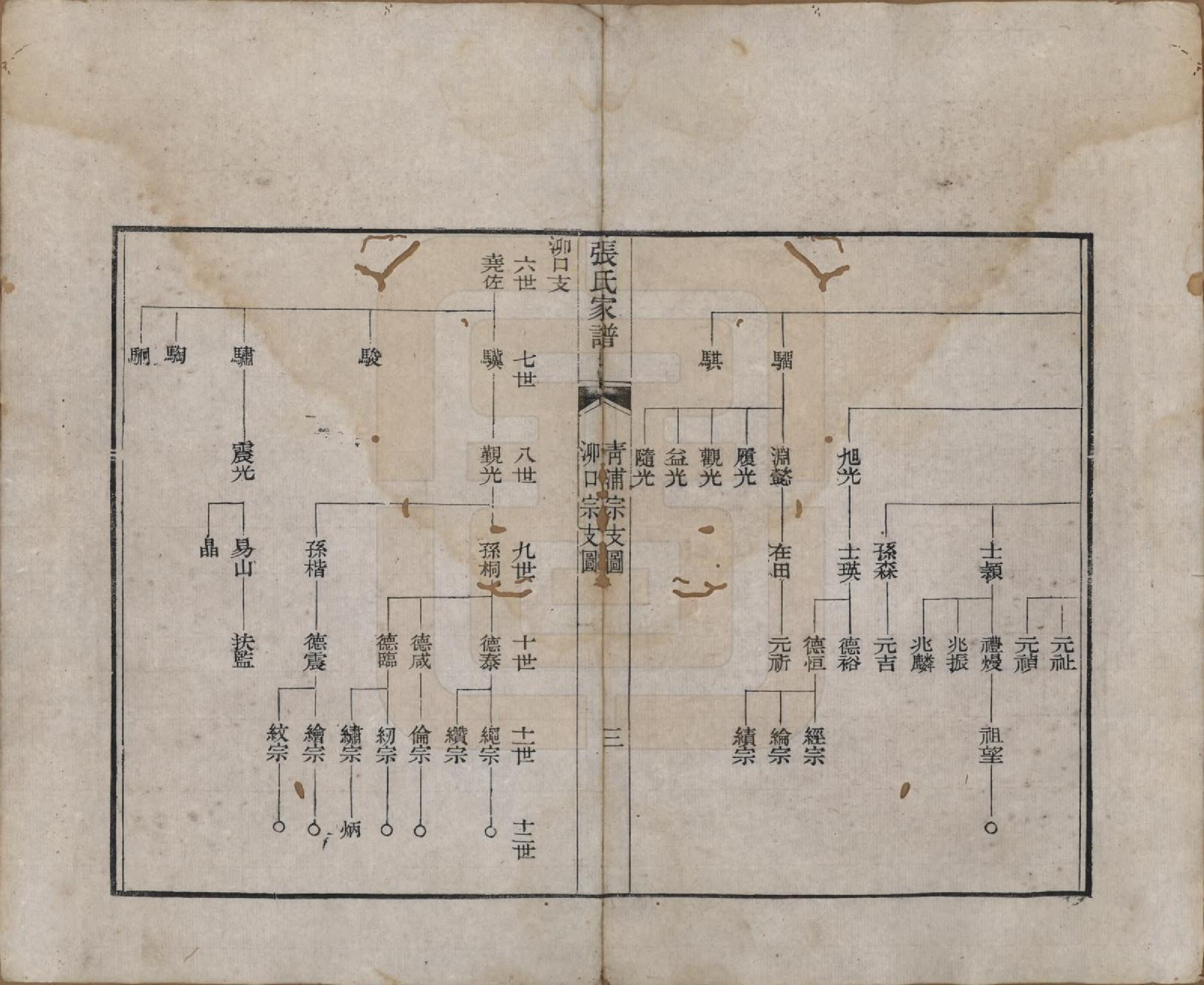 GTJP2144.张.上海青浦.张氏族谱不分卷.清道光二十三年（1843）_003.pdf_第3页