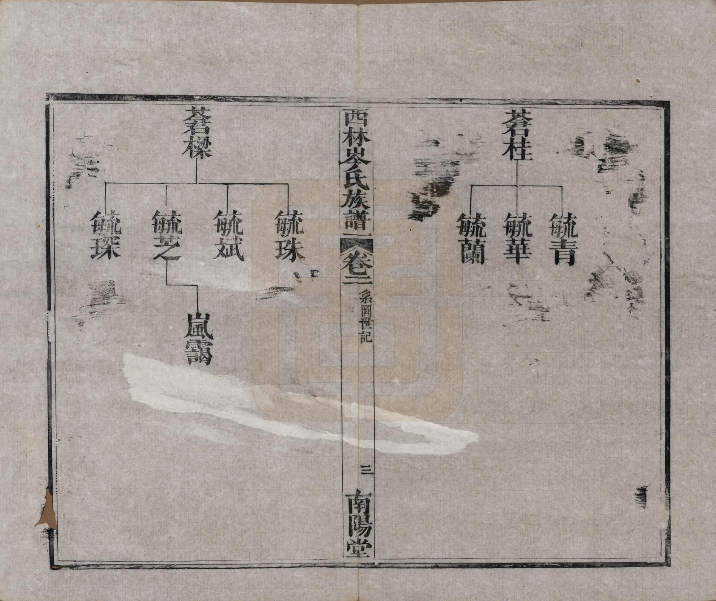 GTJP0071.岑.广西西林.西林岑氏族谱十卷首一卷.清光绪十四年（1888）_002.pdf_第3页