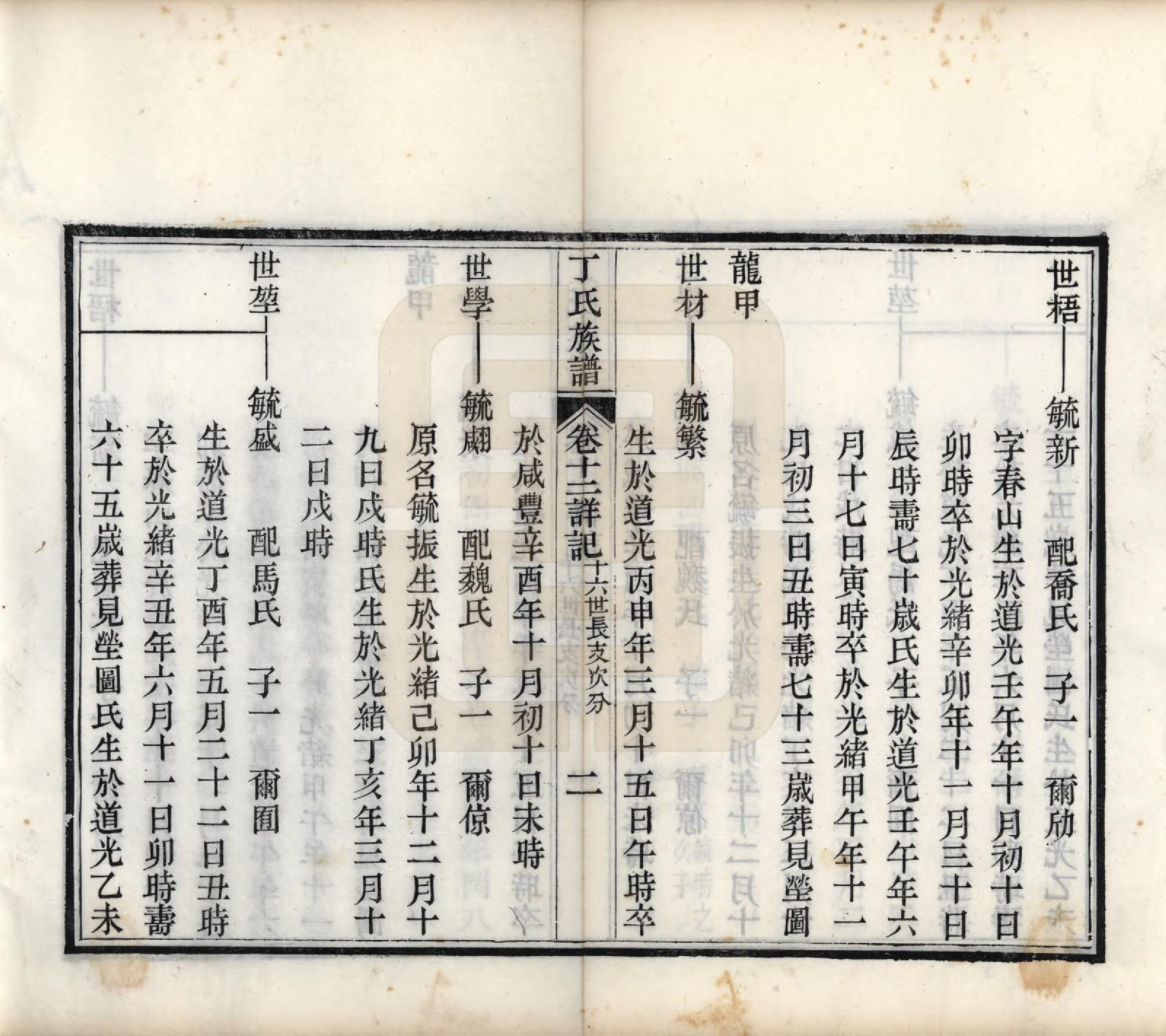 GTJP0300.丁.山东.丁氏族谱十二卷.清宣统元年（1909）_012.pdf_第3页