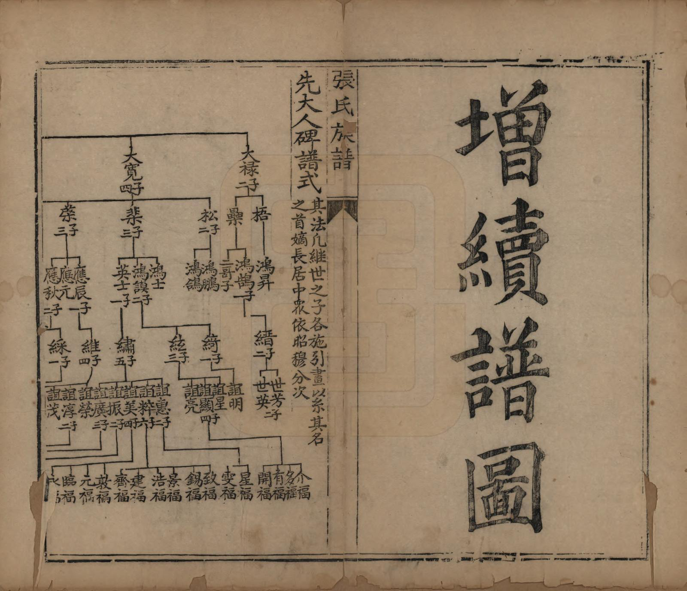 GTJP2082.张.山西平定.张氏族谱.道光二十八年序（1848）_003.pdf_第1页