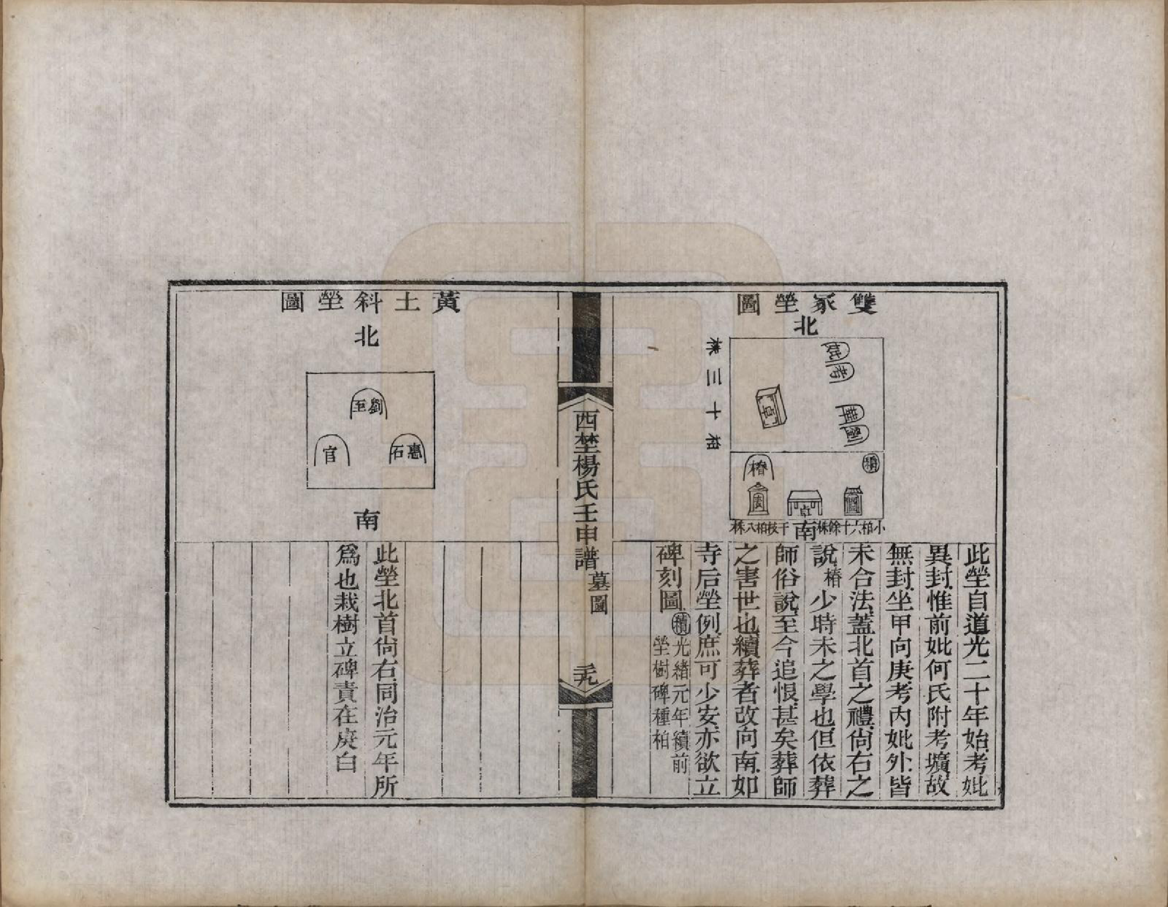 GTJP1986.杨.陕西朝邑.西埜杨氏壬申谱不分卷.清光绪十六年（1890）_006.pdf_第3页