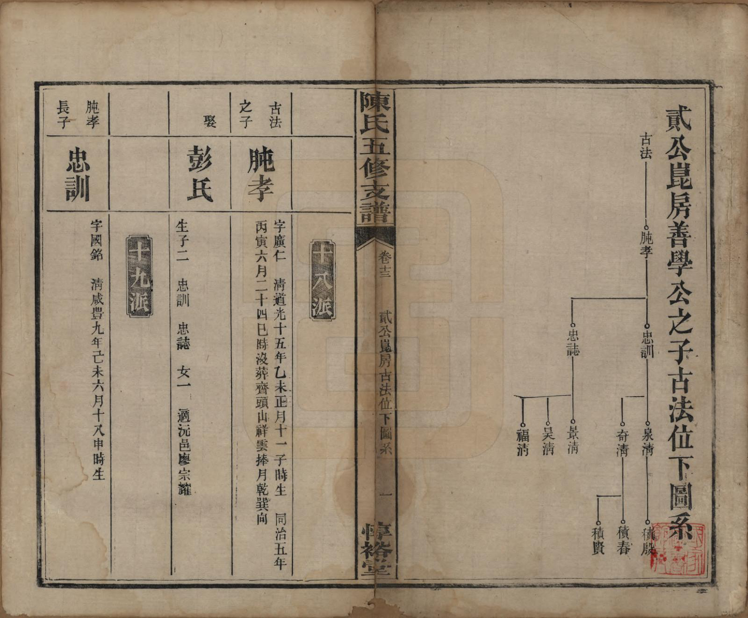 GTJP0113.陈.湖南益阳.陈氏五修支谱.民国35年[1946]_013.pdf_第1页