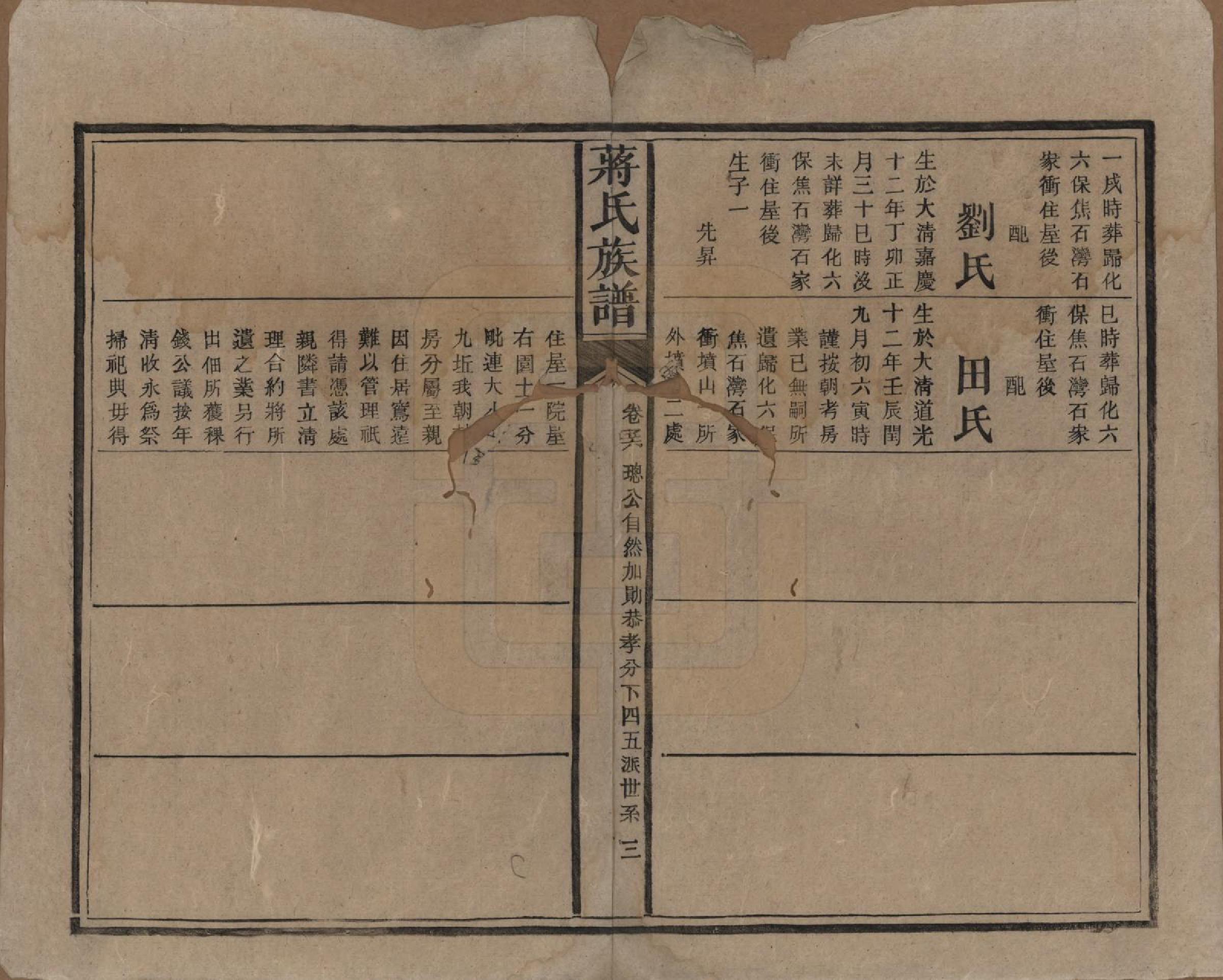 GTJP0698.蒋.湖南安化.蒋氏族谱.清光绪11年（1885）_056.pdf_第3页