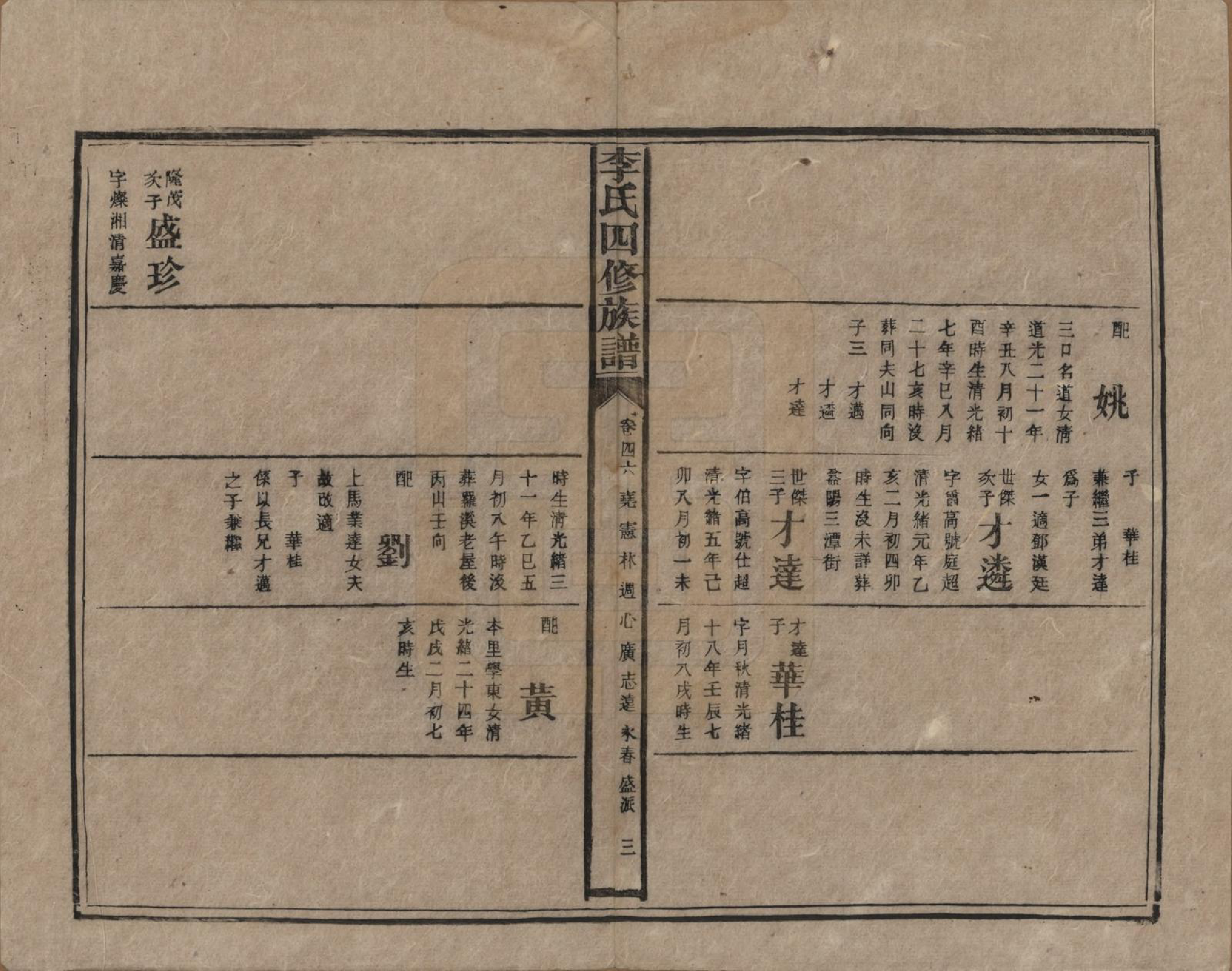 GTJP0803.李.湖南.李氏四修族谱.民国5年（1916）_046.pdf_第3页