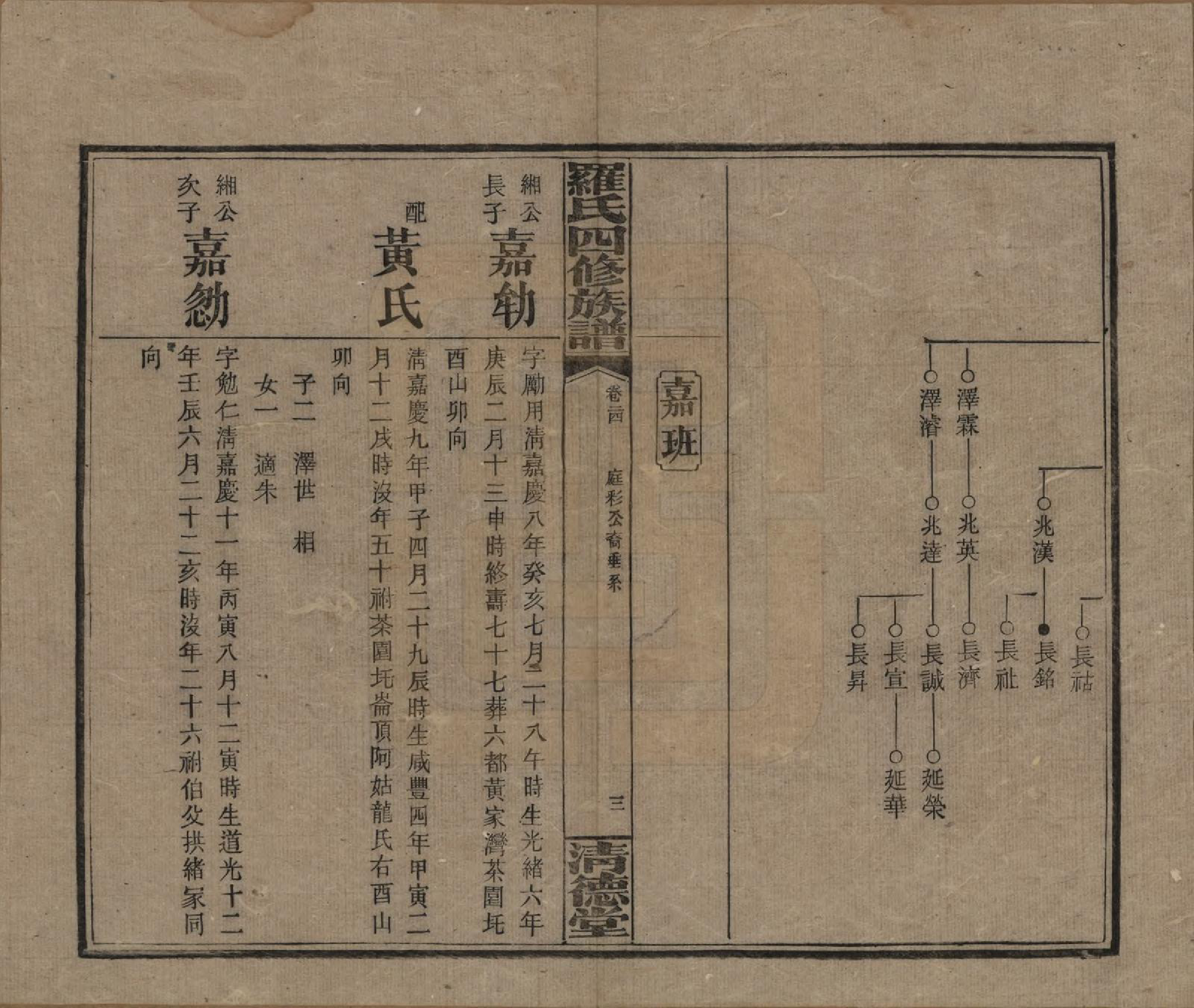 GTJP1031.罗.湖南湘乡.罗氏四修族谱.民国20年[1931]_024.pdf_第3页