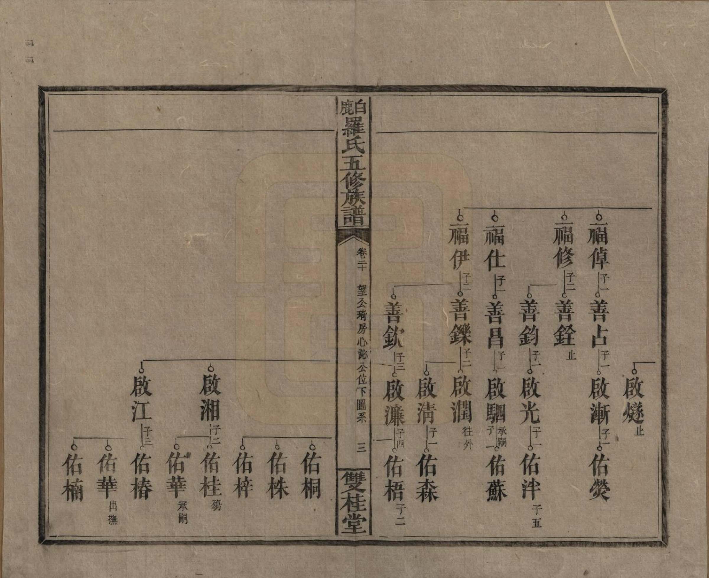 GTJP1033.罗.湖南邵阳.邵陵白鹿罗氏五修族谱.民国2年[1913]_020.pdf_第3页