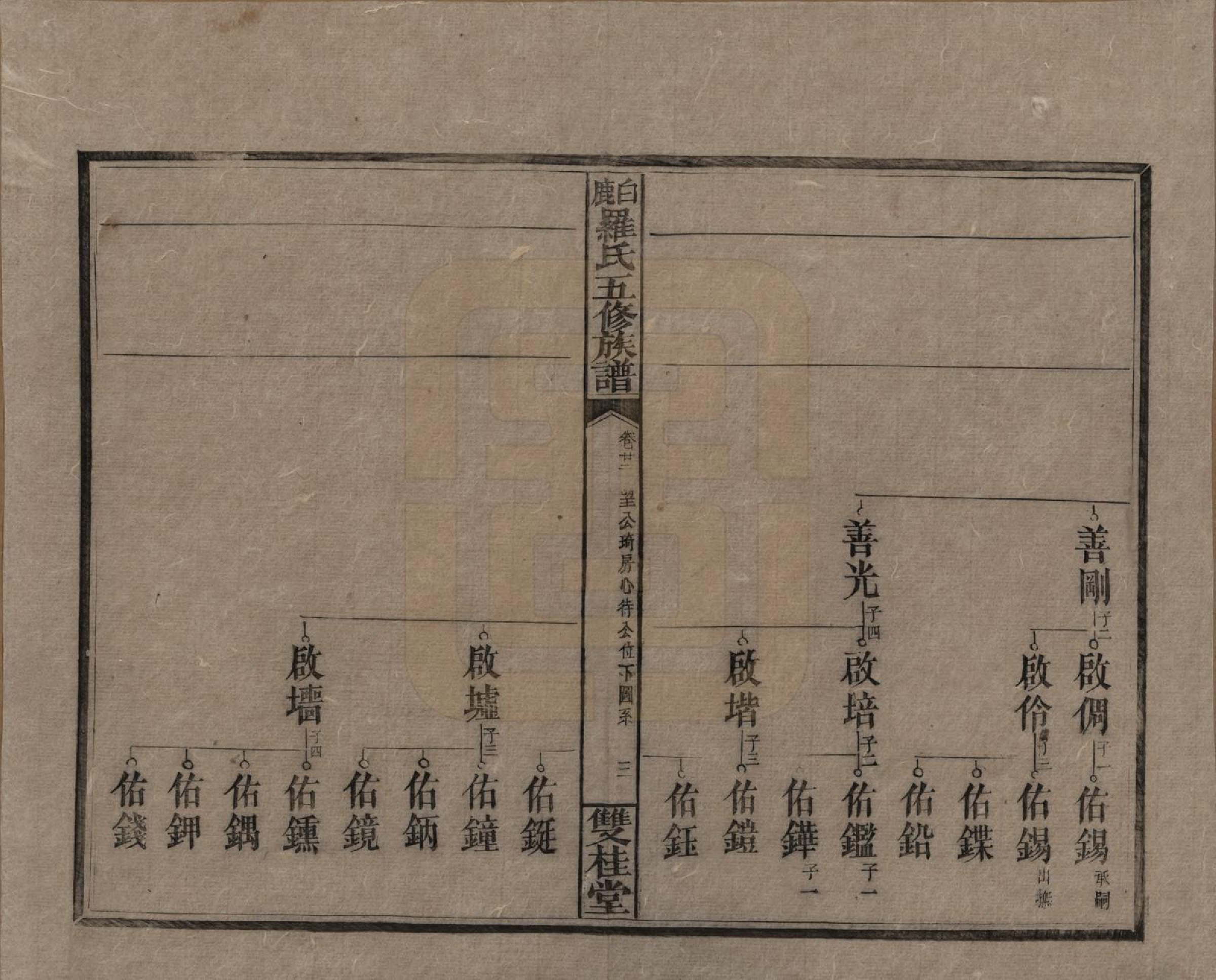 GTJP1033.罗.湖南邵阳.邵陵白鹿罗氏五修族谱.民国2年[1913]_022.pdf_第3页