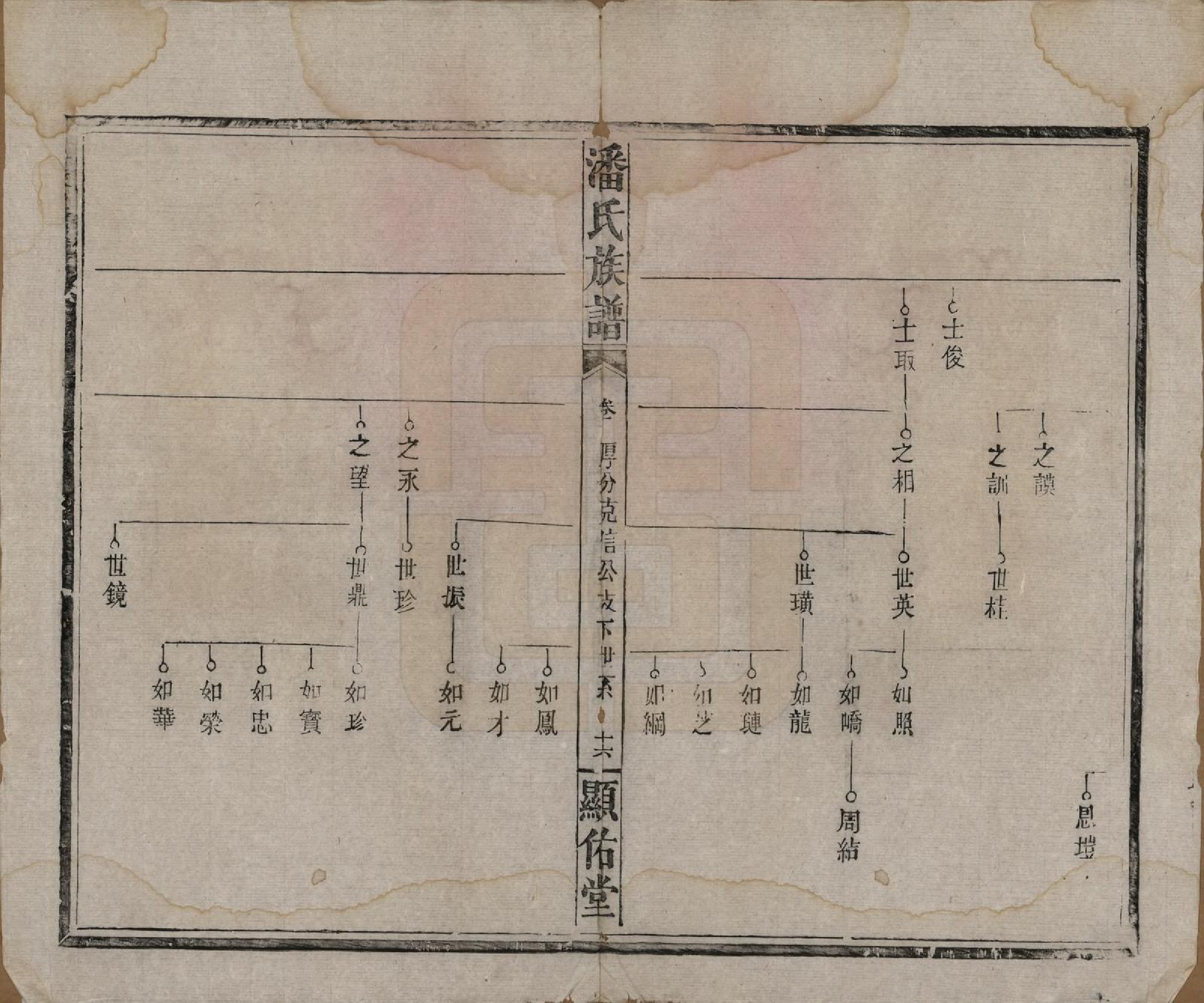 GTJP1123.潘.湖南湘乡.潘氏族谱.清光绪21年[1895]_008.pdf_第3页