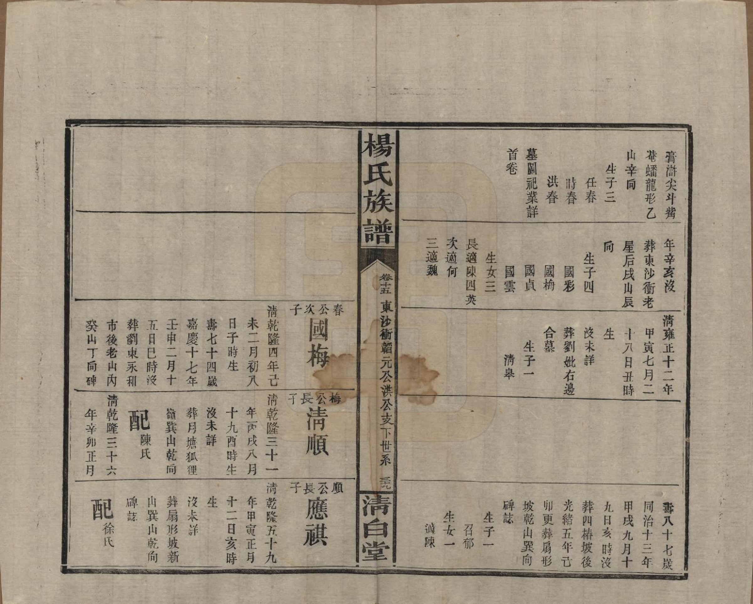 GTJP1975.杨.湖南浏阳、江西万载.杨氏族谱.清光绪27年[1901]_015.pdf_第2页